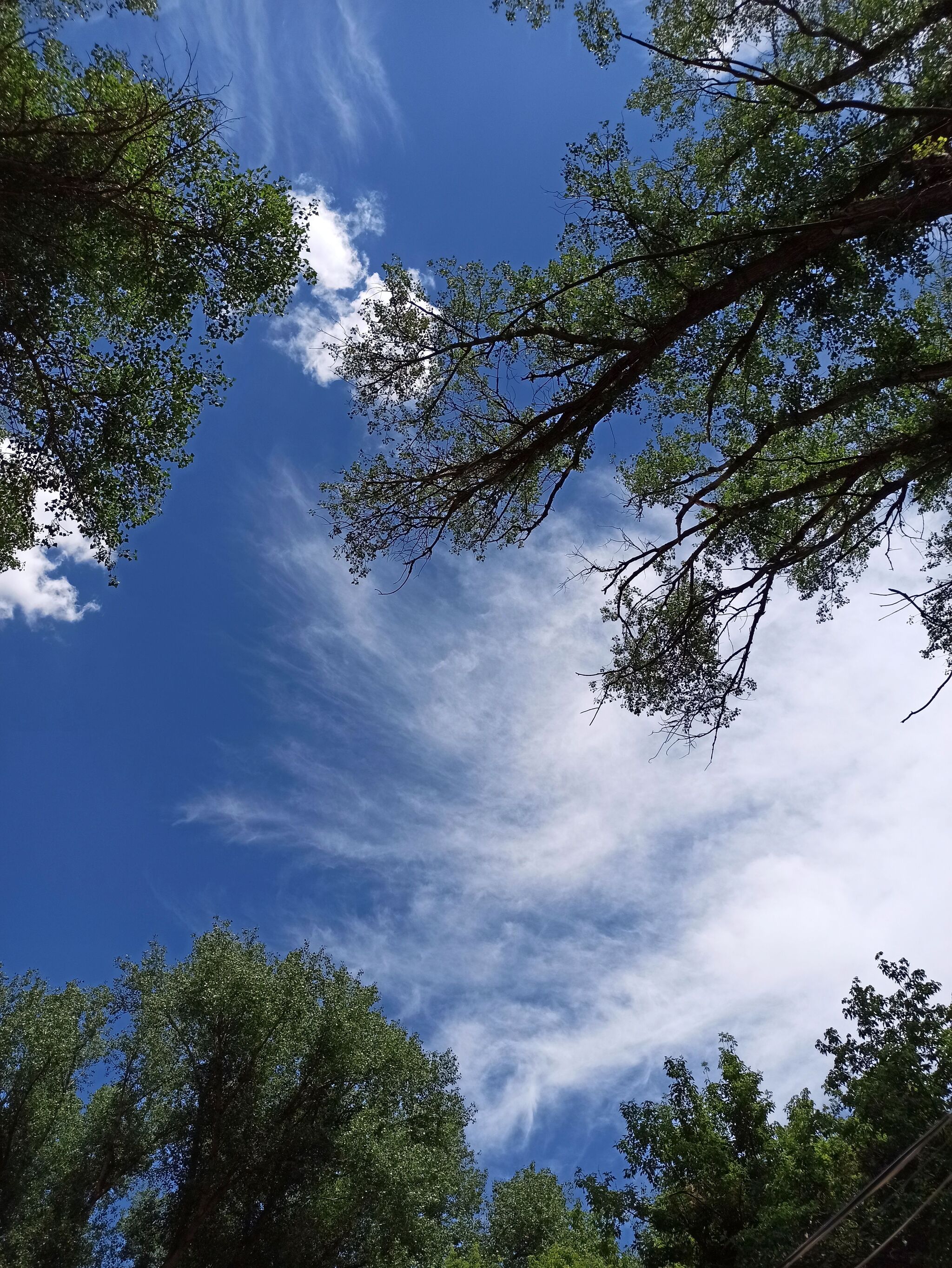 Фото Фазенда