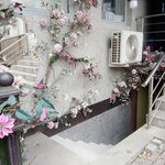 Shamilevna (V.V. Putina Avenue, 17Г), beauty salon
