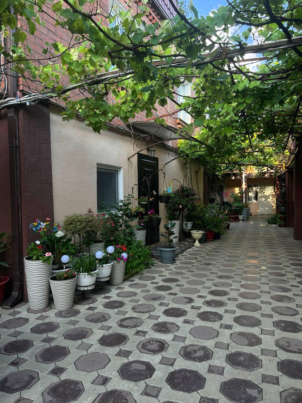 Фото Джубга Аленка