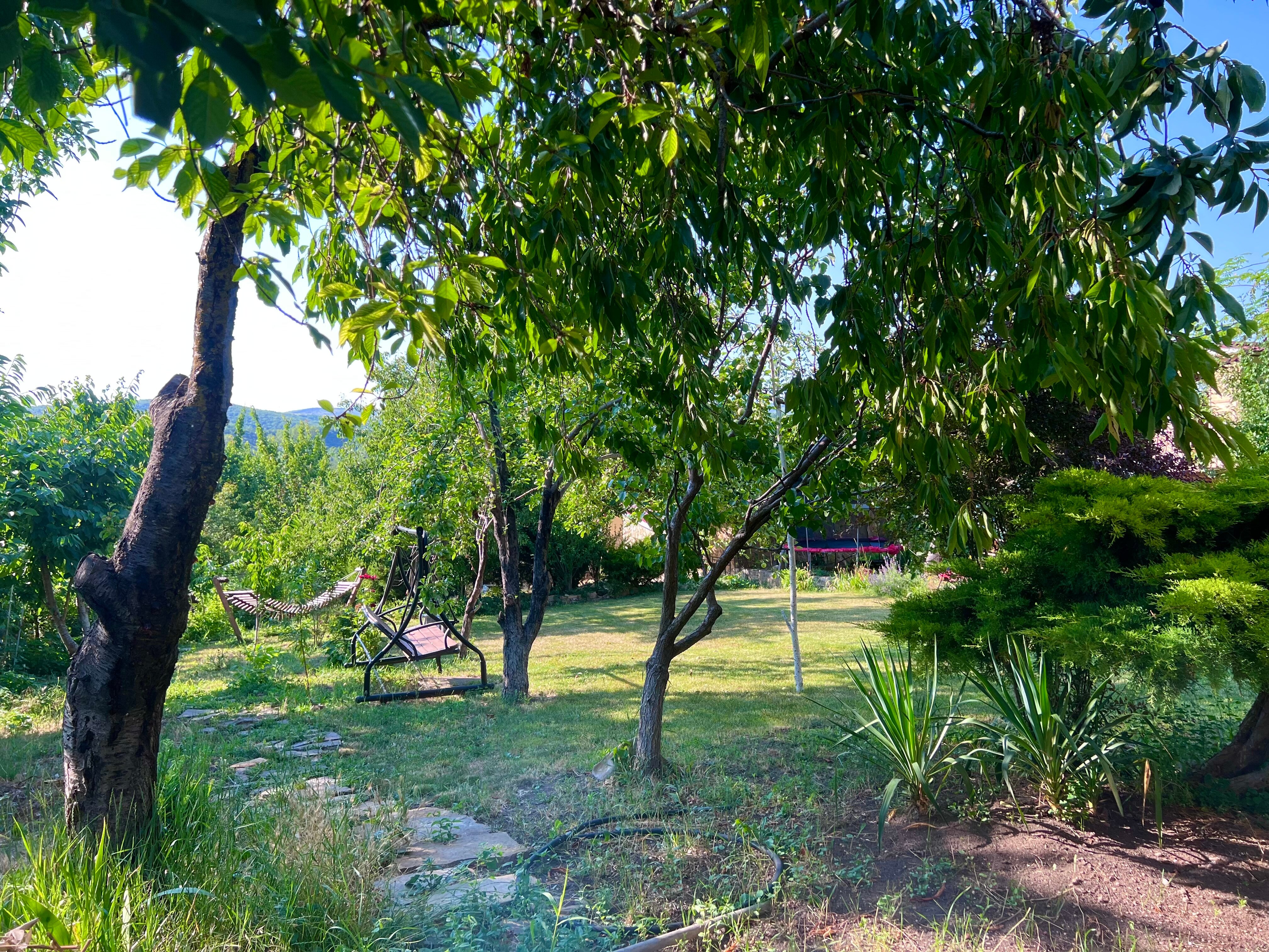 Фото Русское поместье