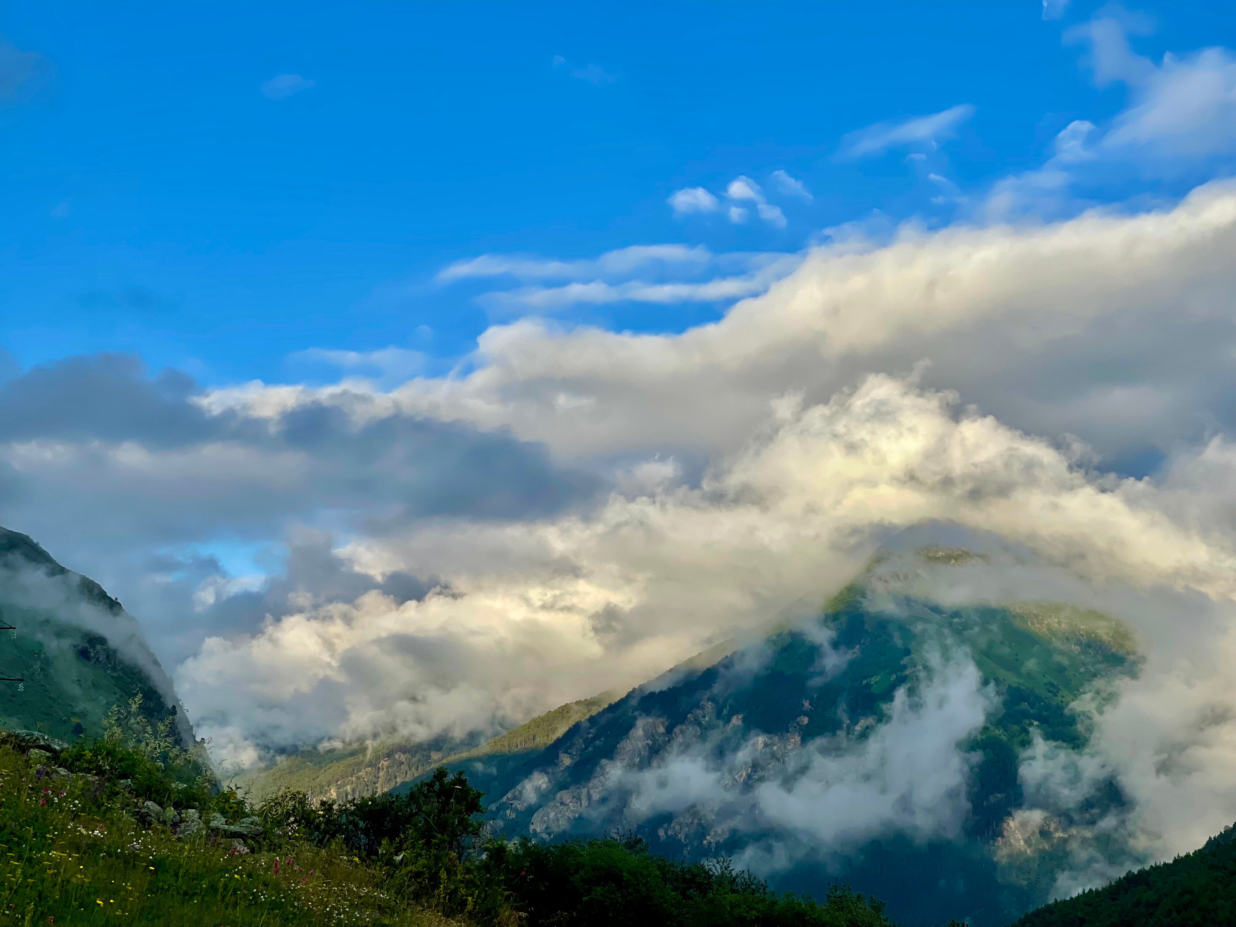 Фото Блэк Поинт