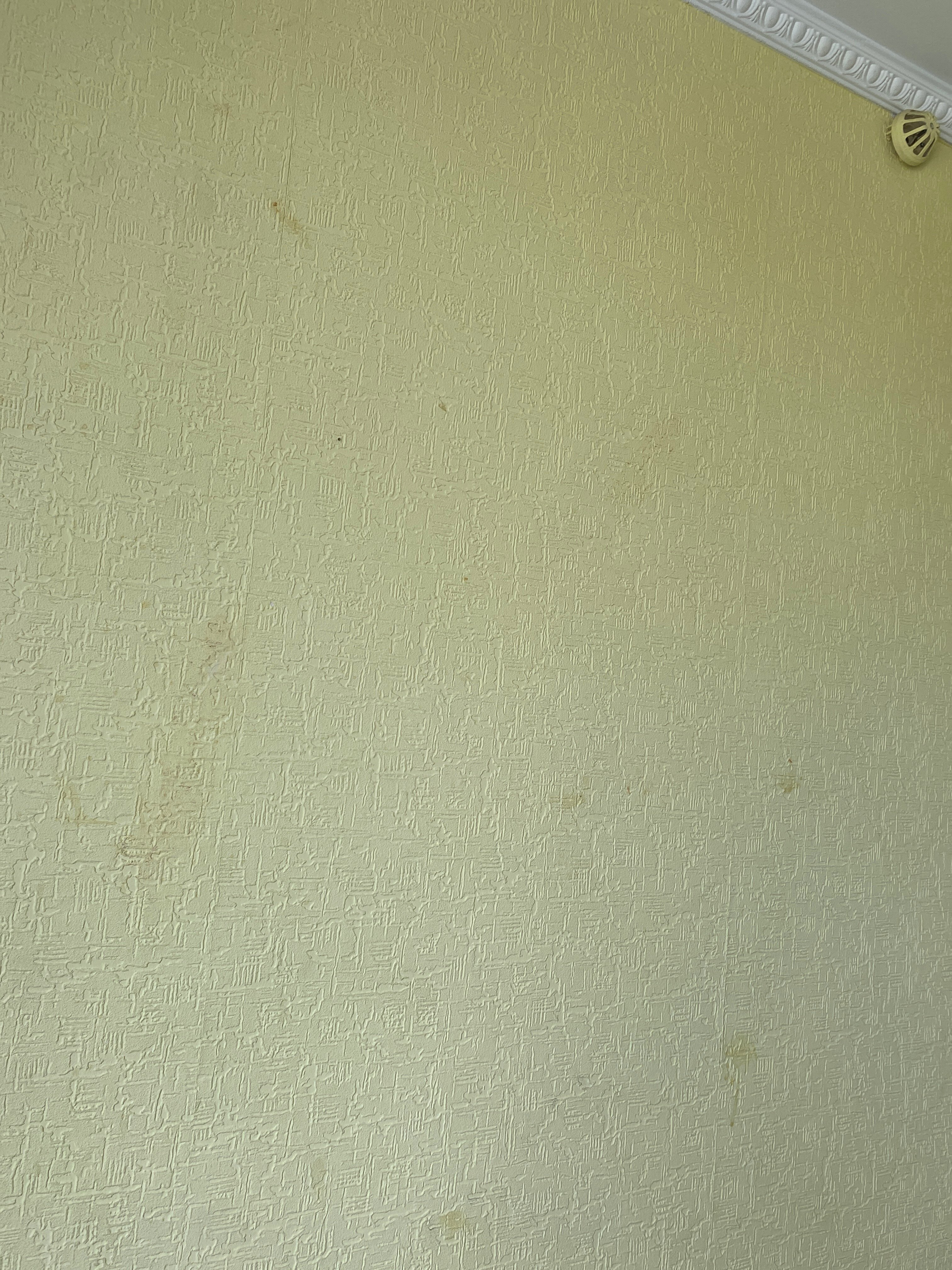 Фото Дружба