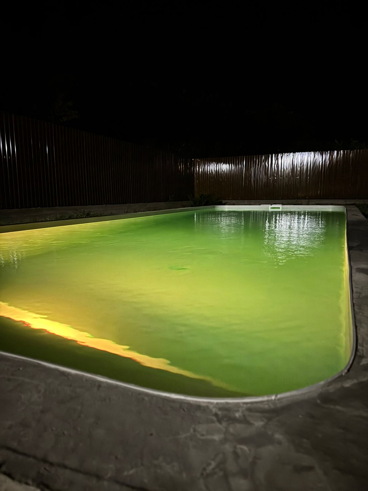 Фото Верони