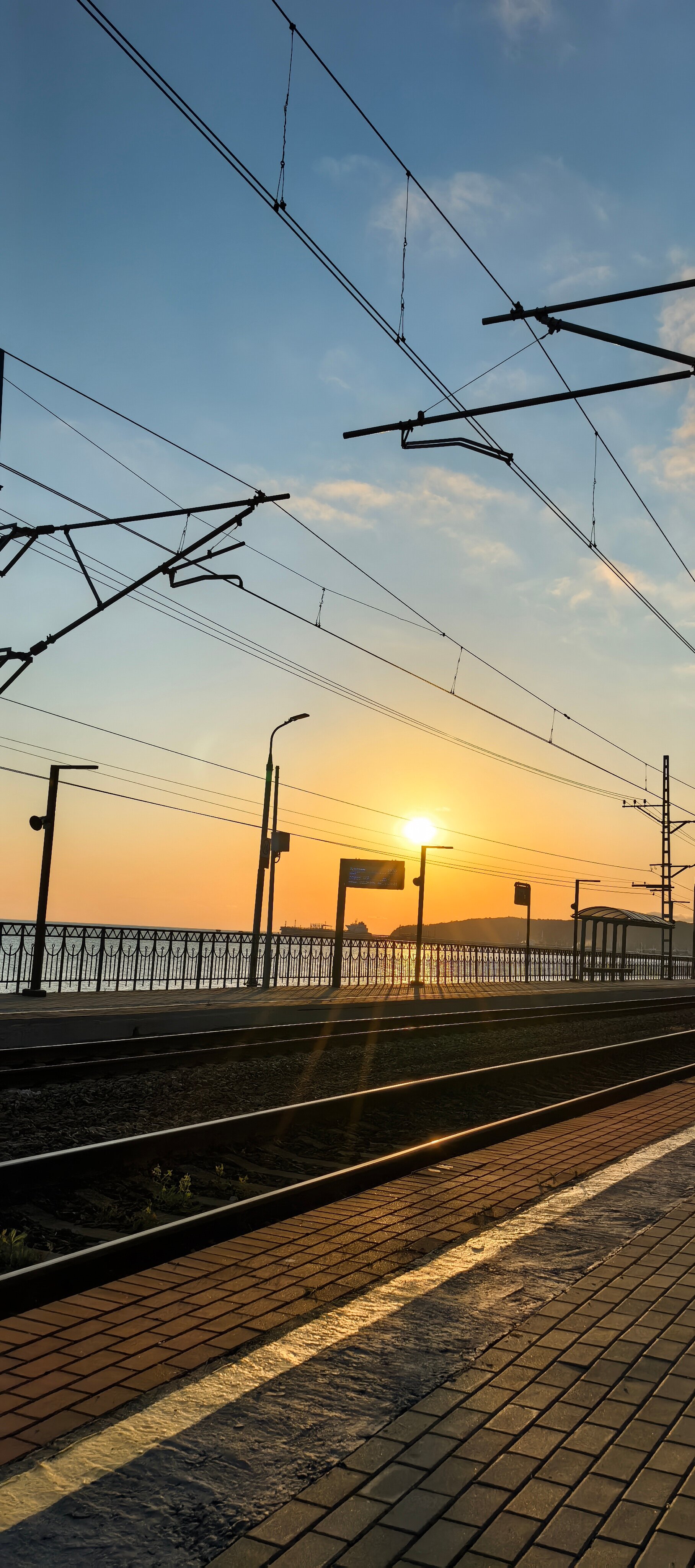 Фото Галина-чайка