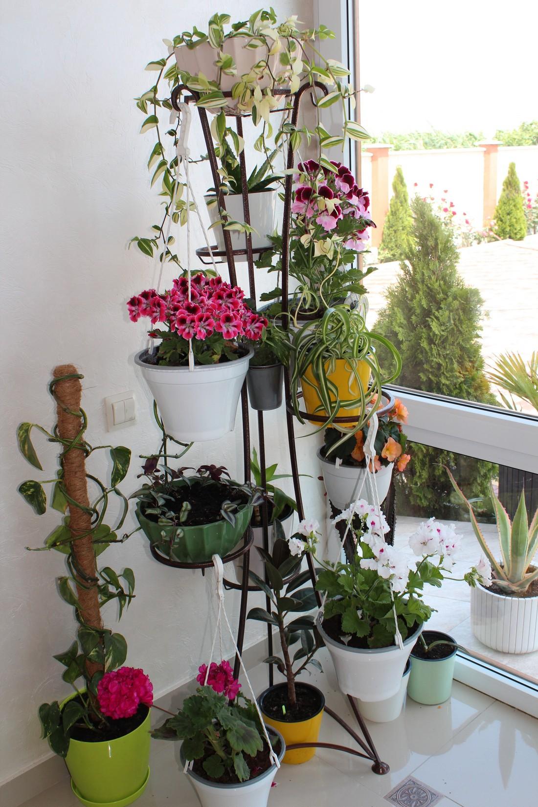 Фото Ангелина