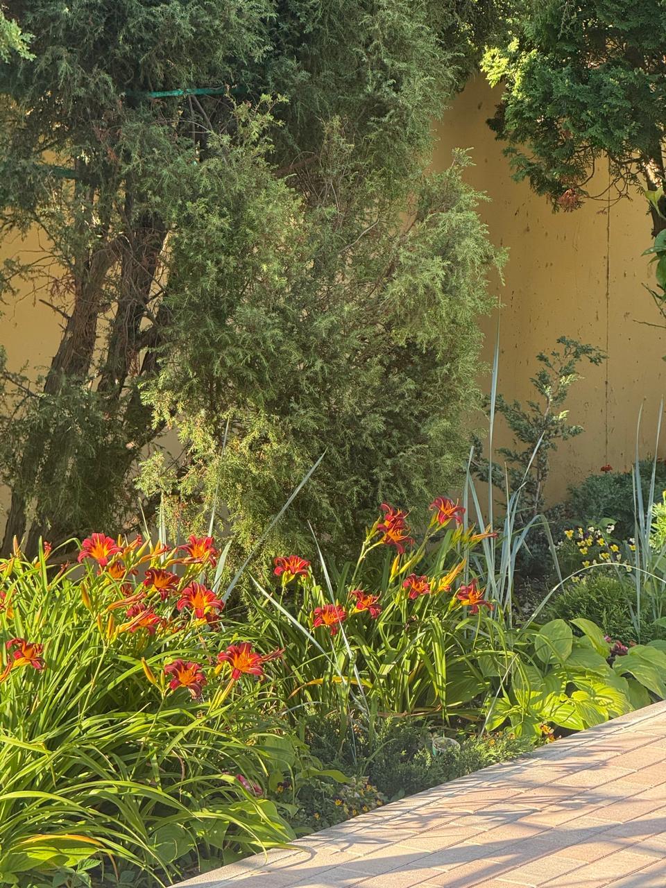 Фото Идиллия