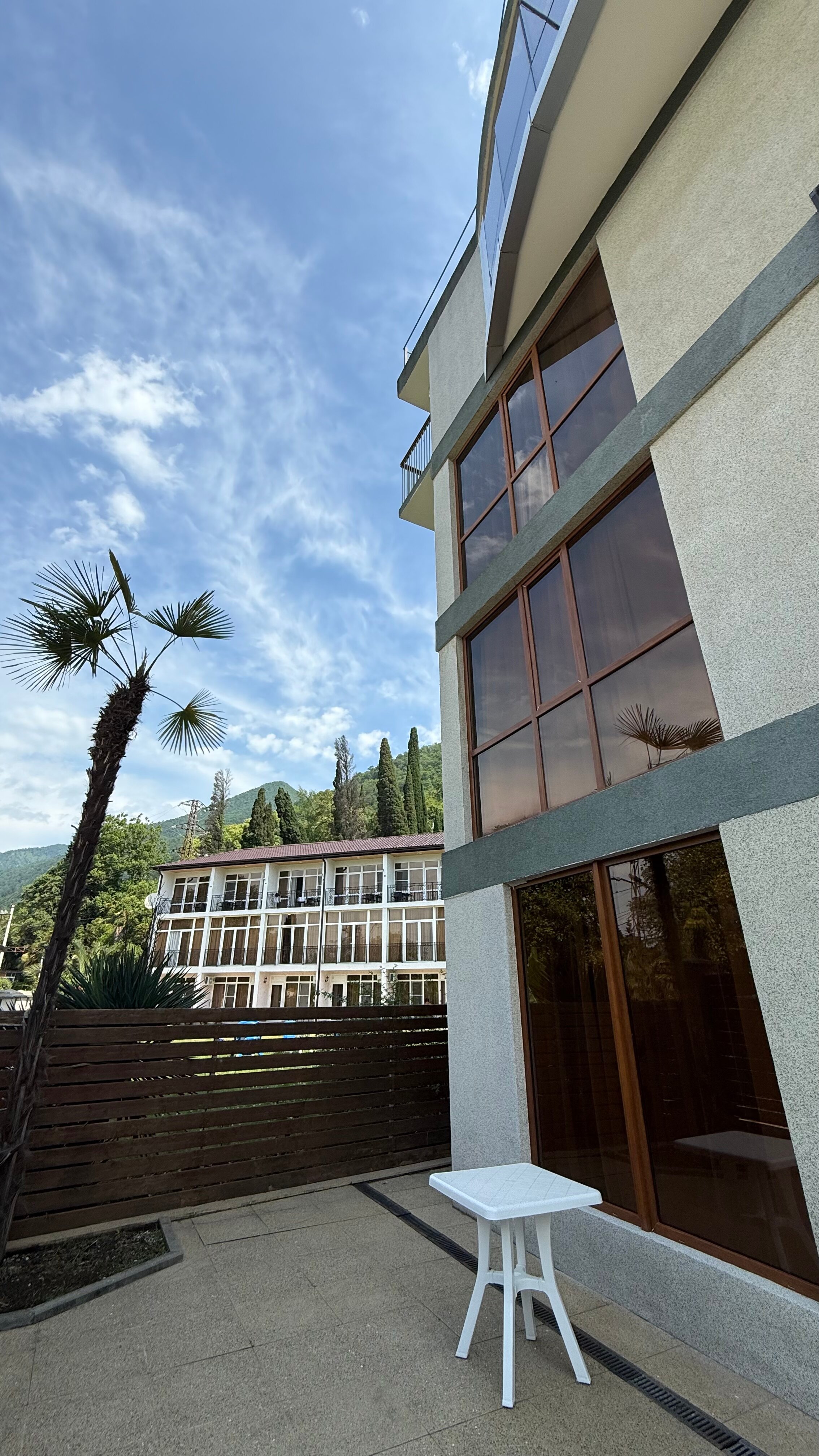 Фото Пальма