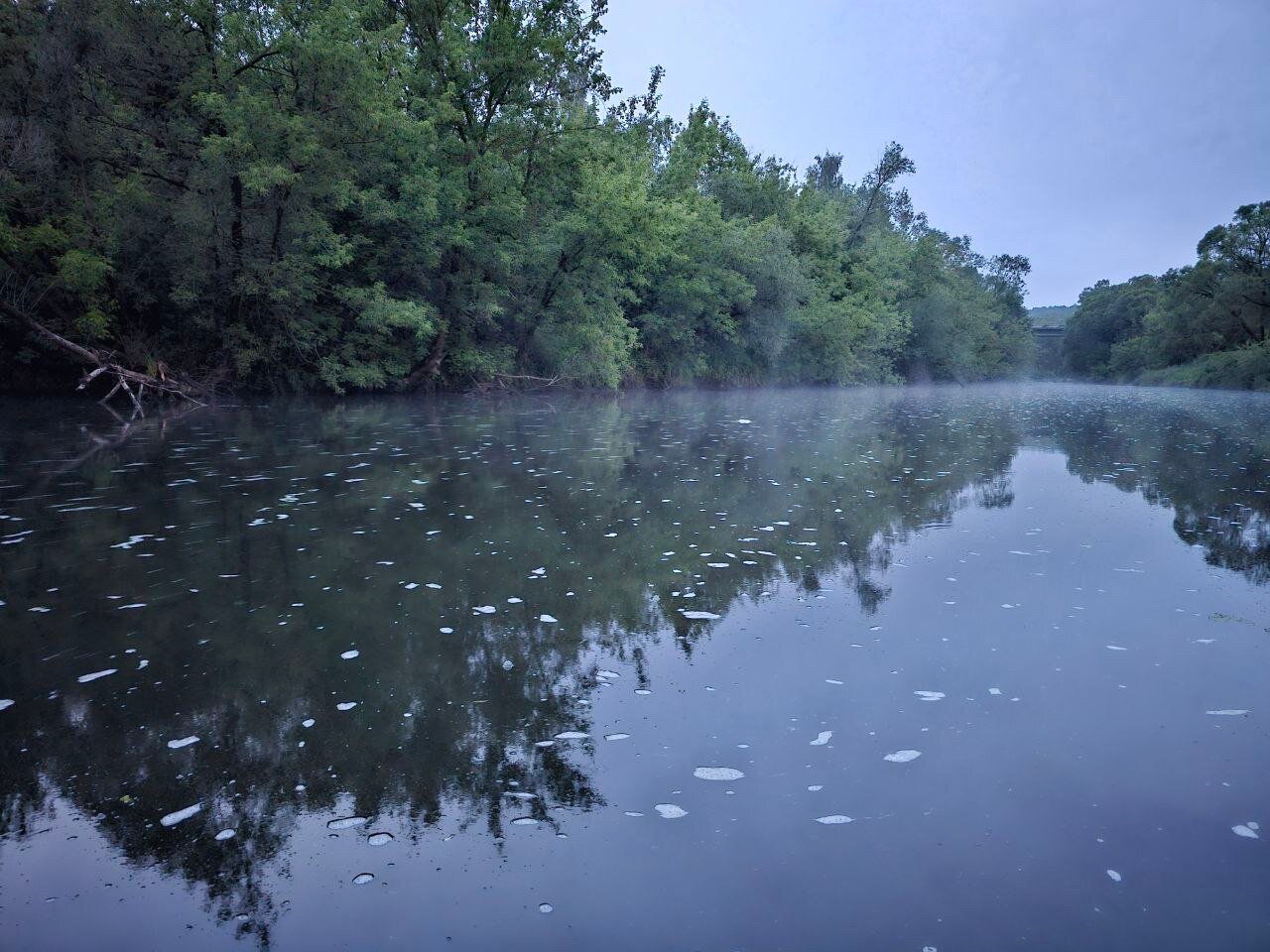 Фото Ливадия
