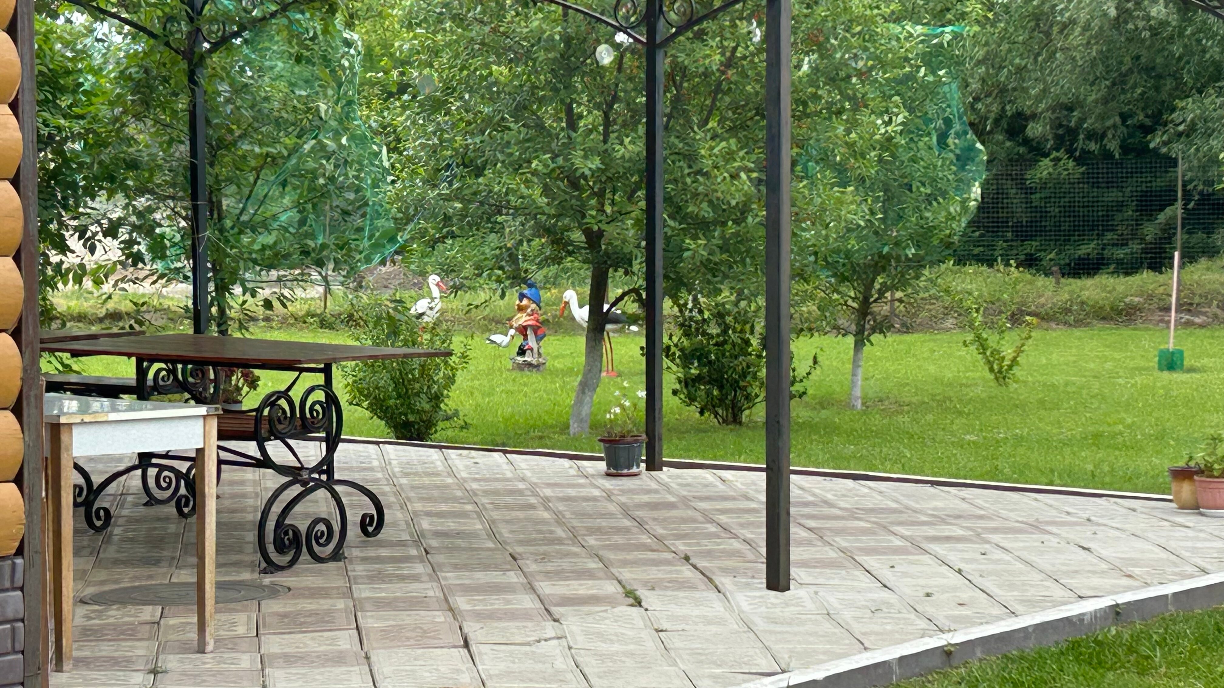 Фото Светлана