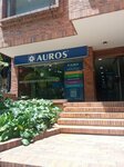 Auros (Bogotá, Chapinero, Carrera 11, 86-46), copy center