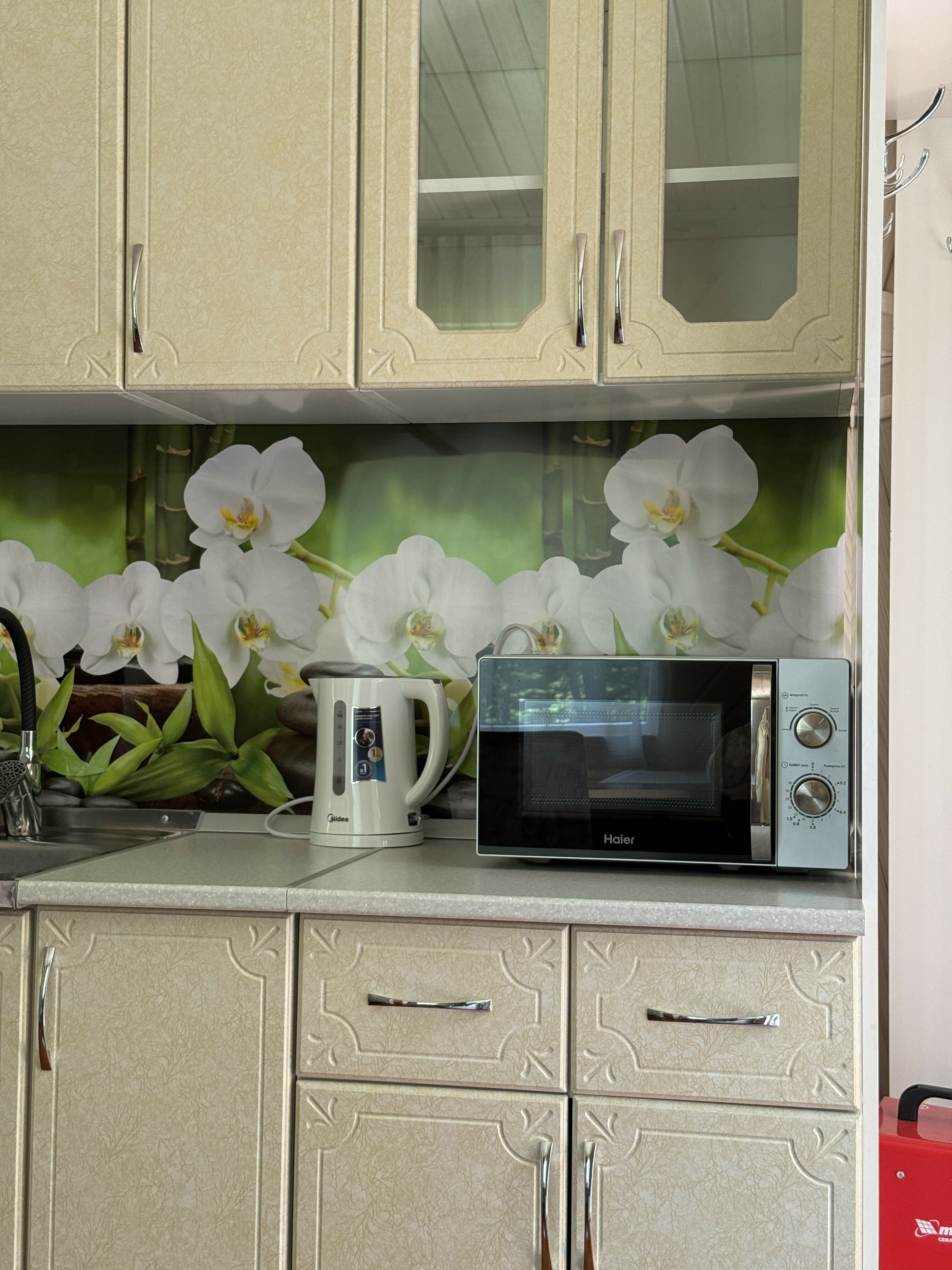 Фото Shelest Lesa