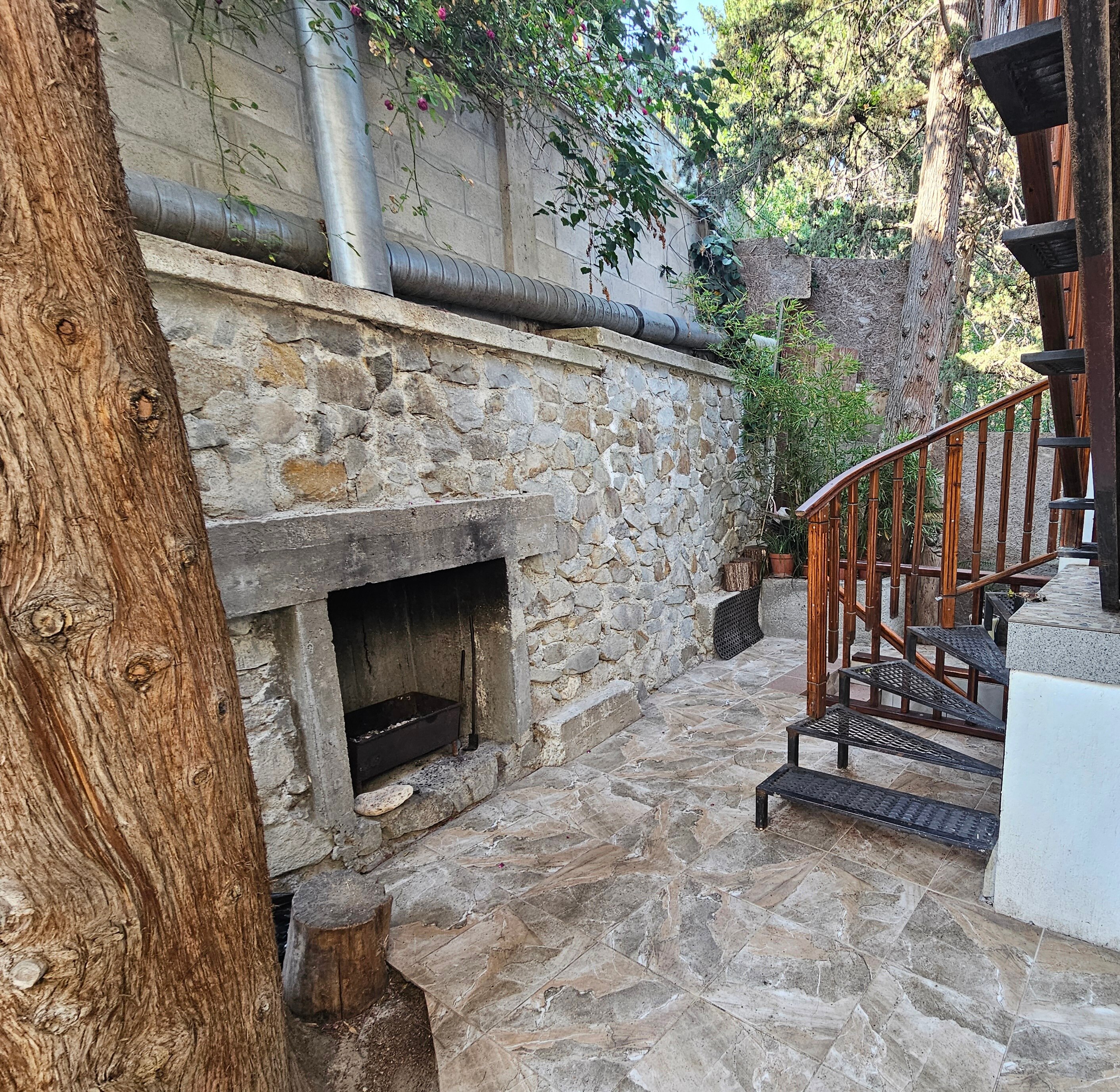 Фото Кипарис