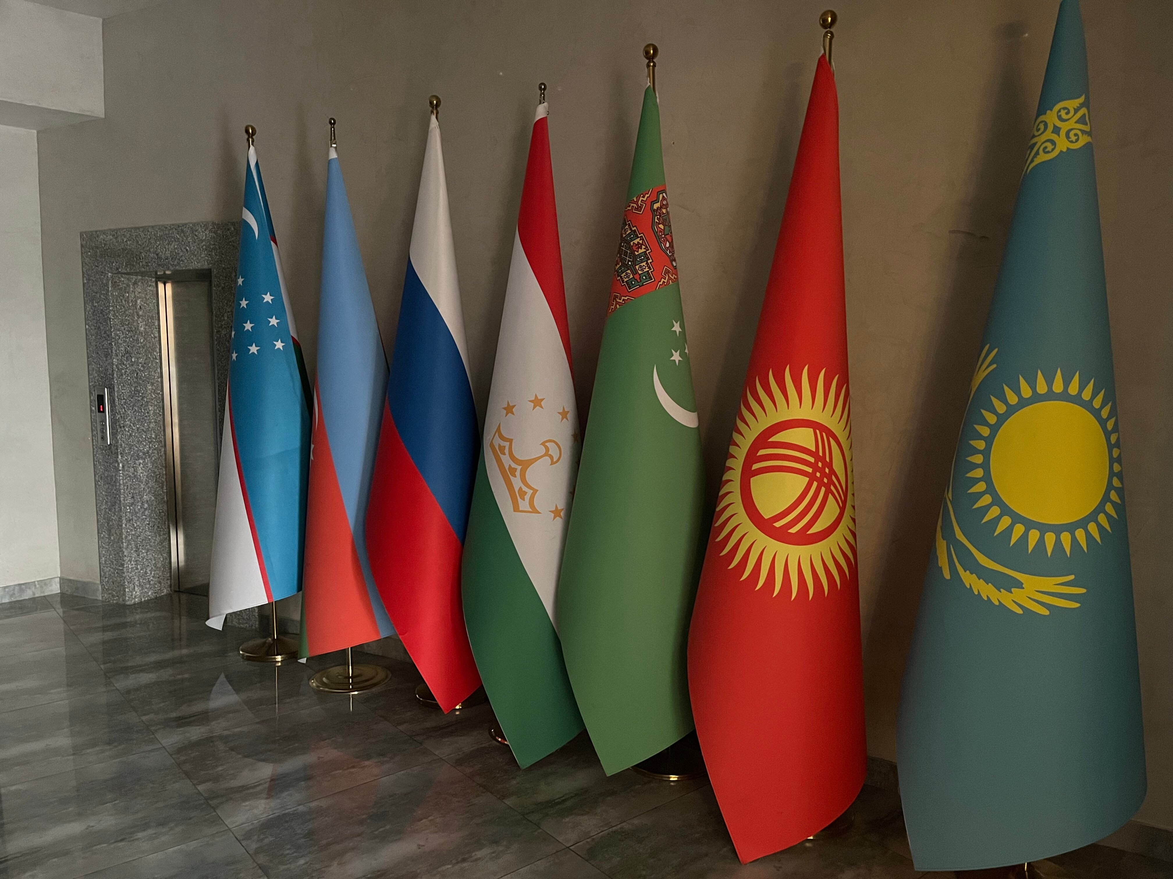 Фото 138324136117