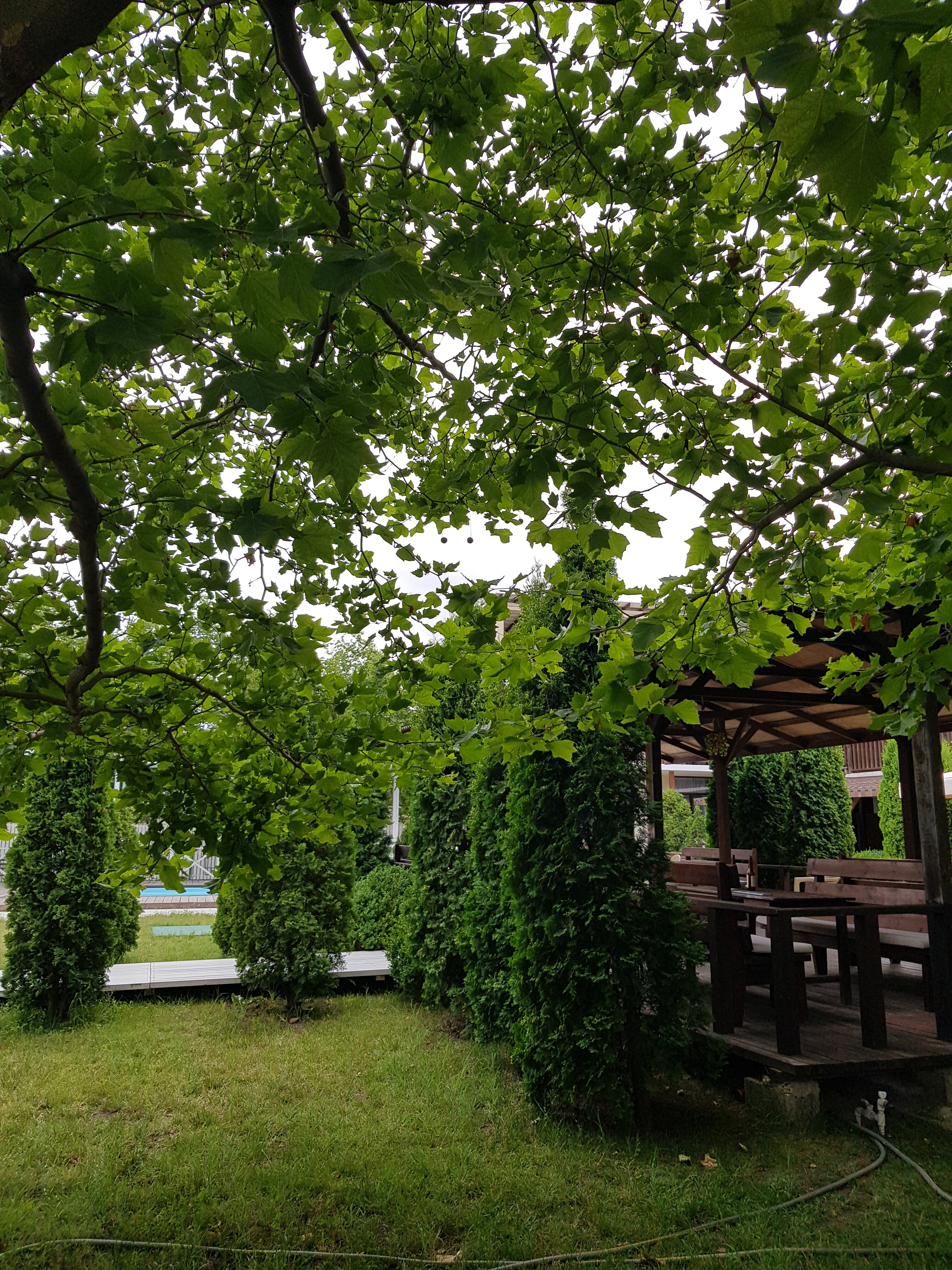 Фото Грин Парк Приморский