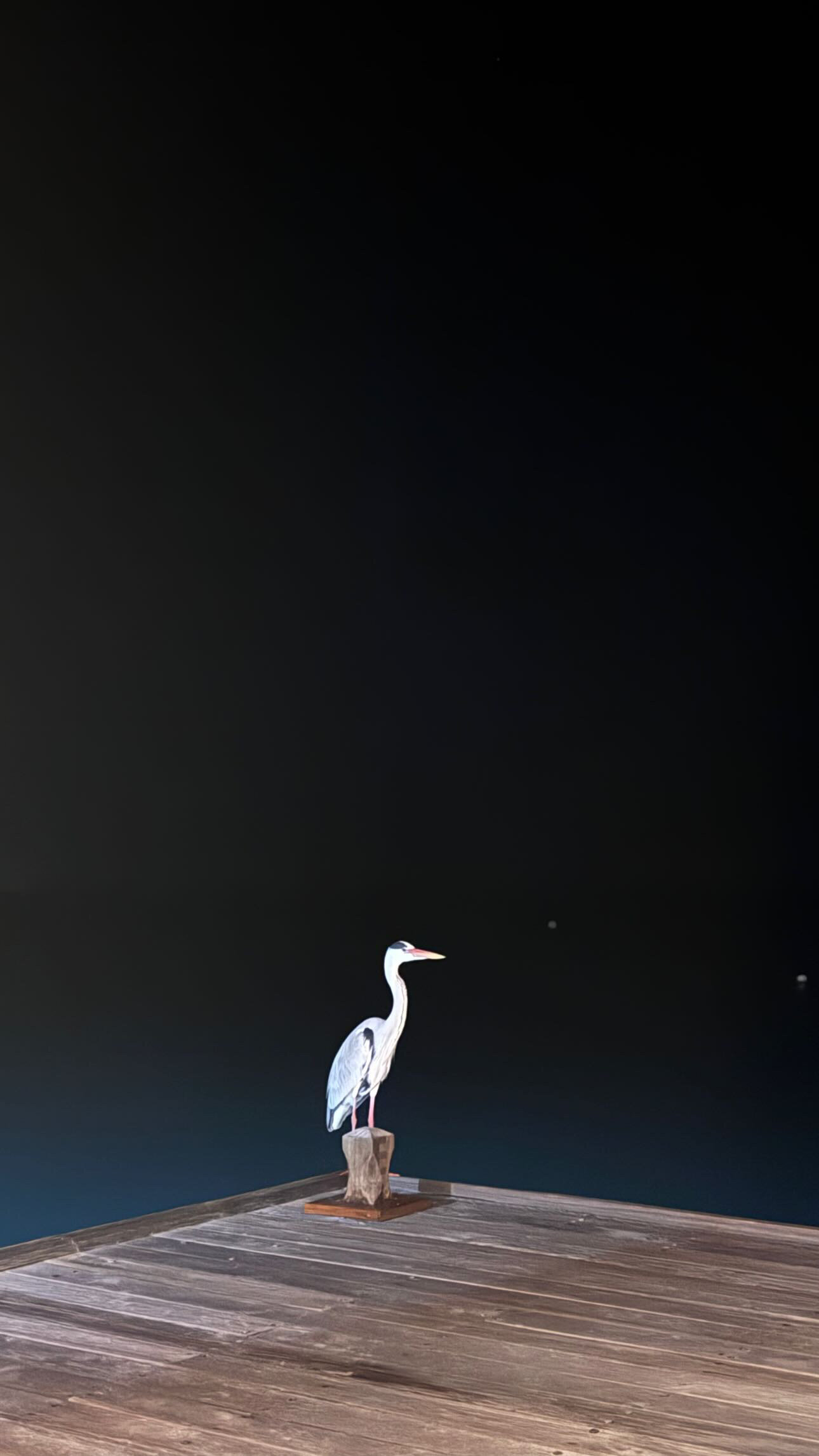 Фото Fiyavalhu Resort Maldives