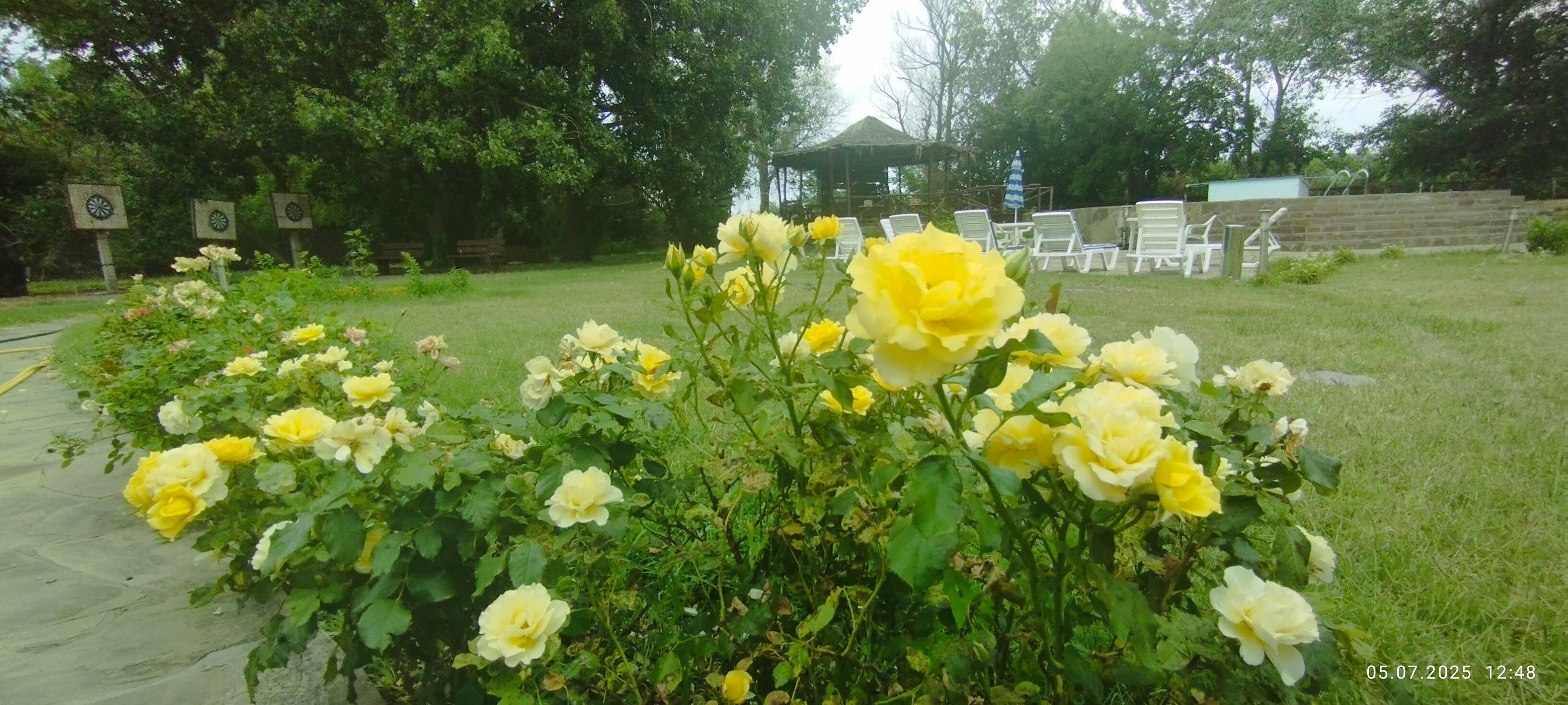 Фото River House