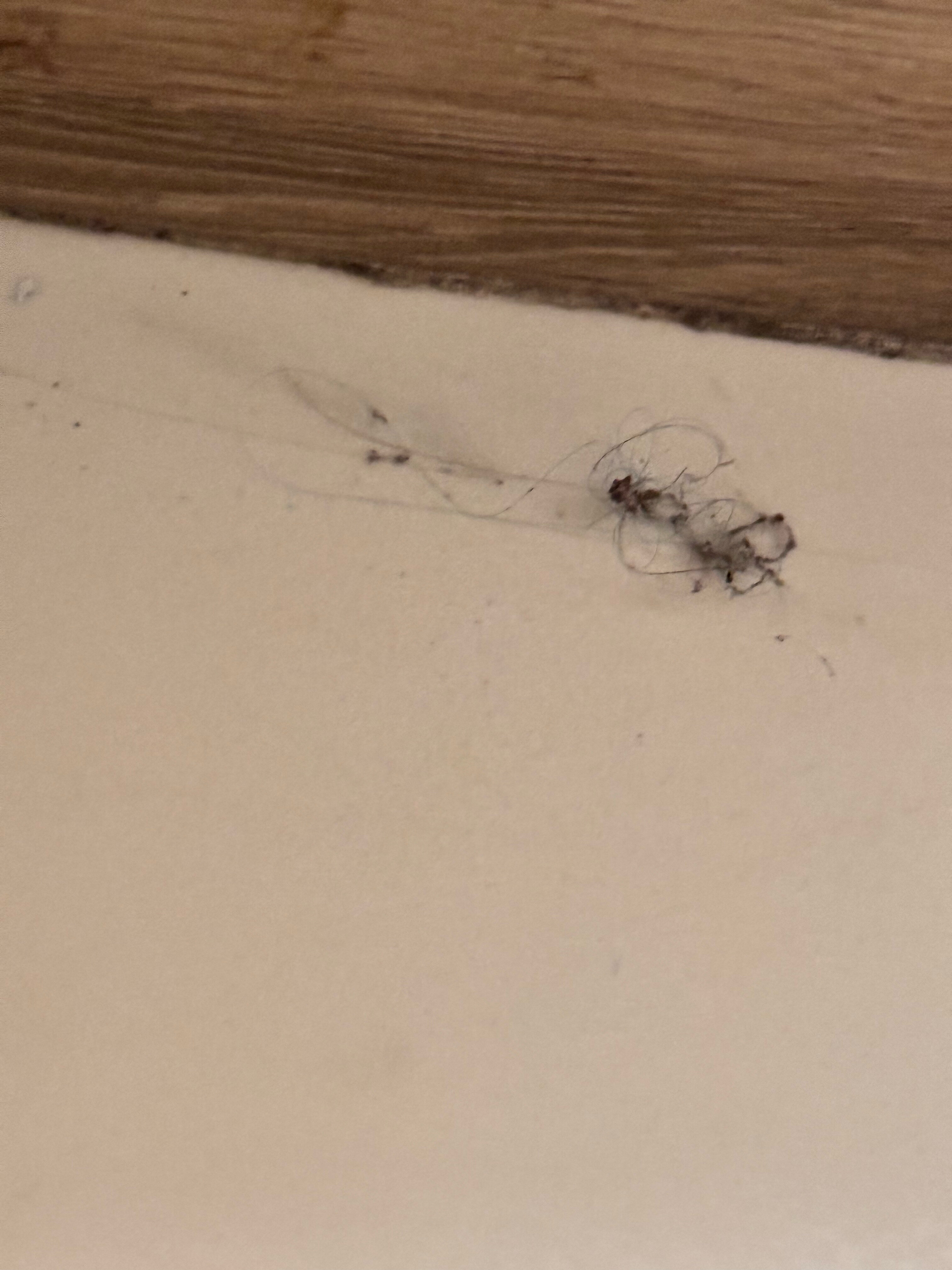 Фото Villa_Vanilla56