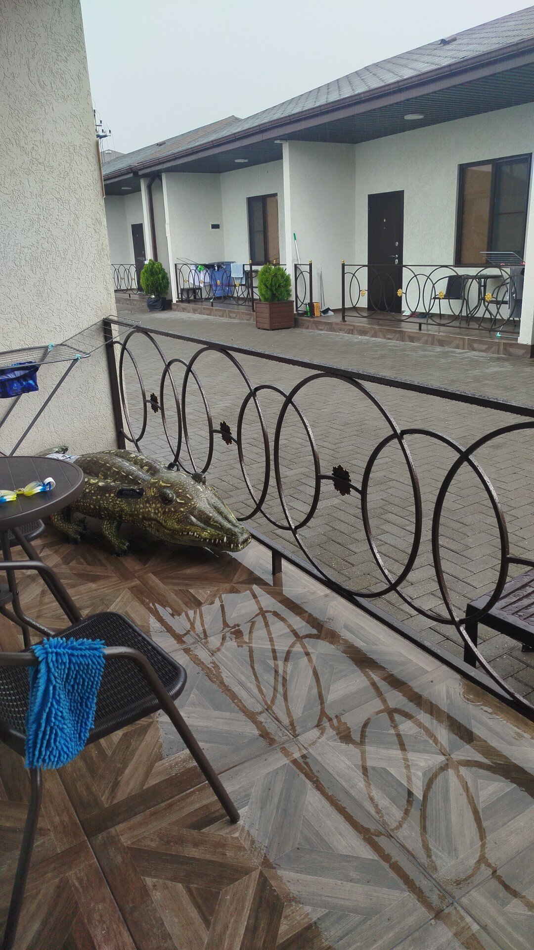 Фото Сандра