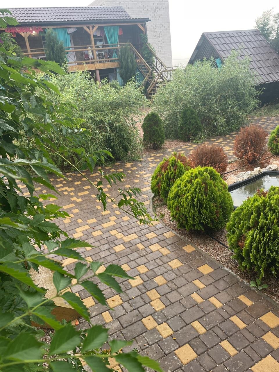 Фото Фазенда