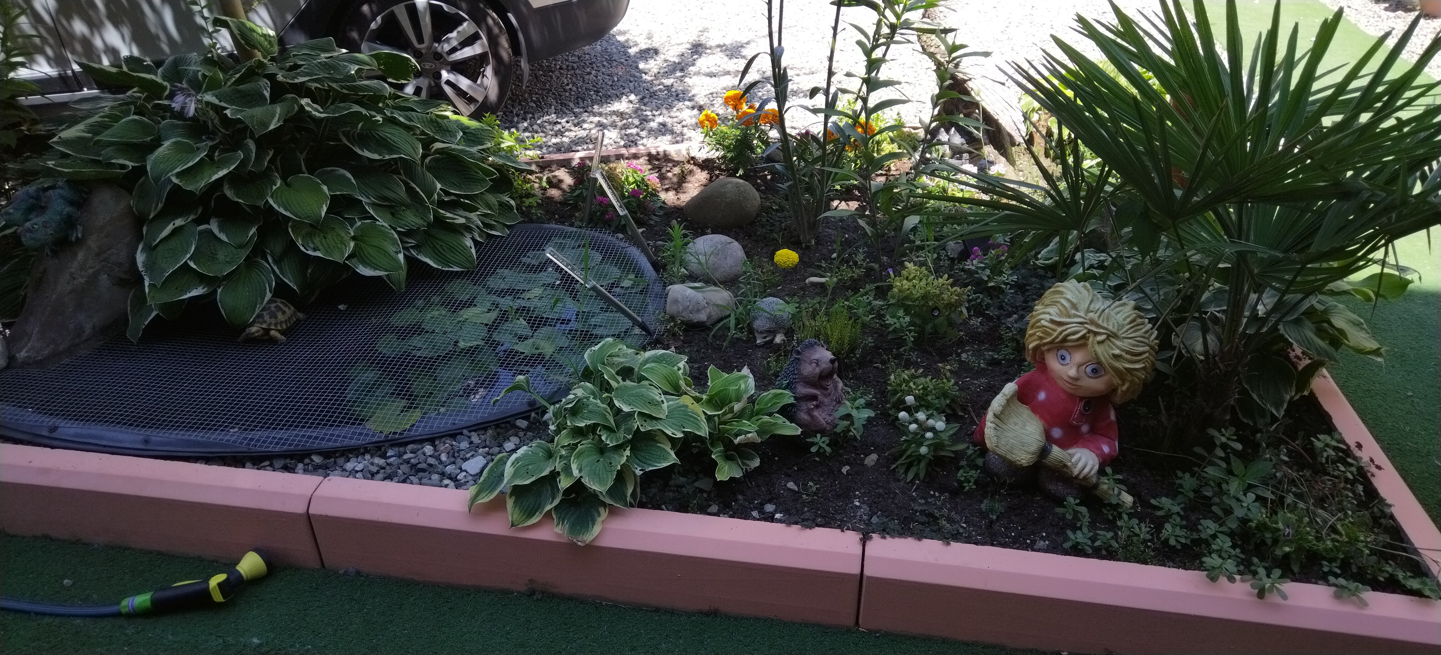 Фото Стефания