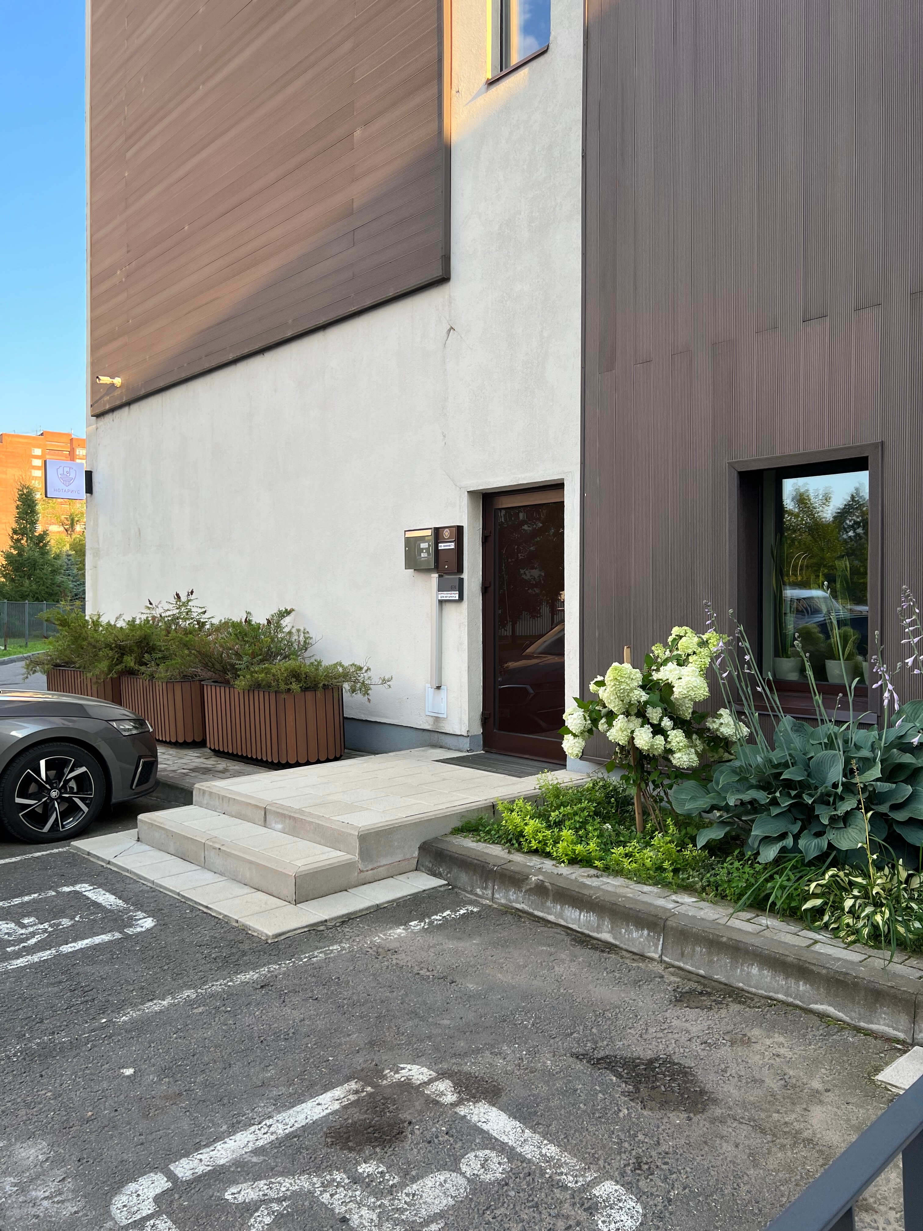 Фото Princess Frog