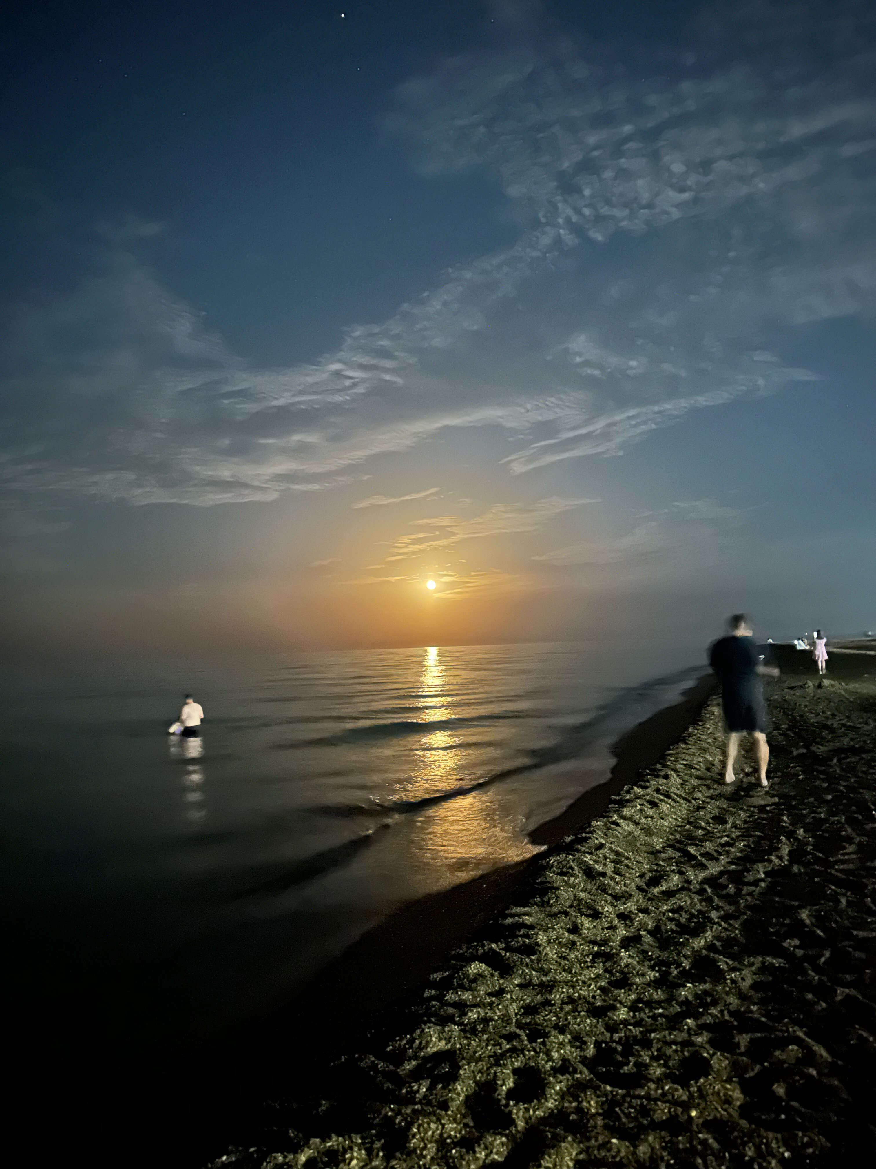 Фото Royal House