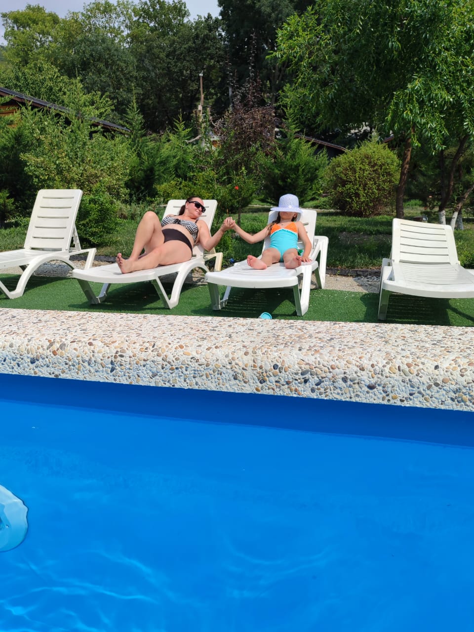 Фото Ромашка