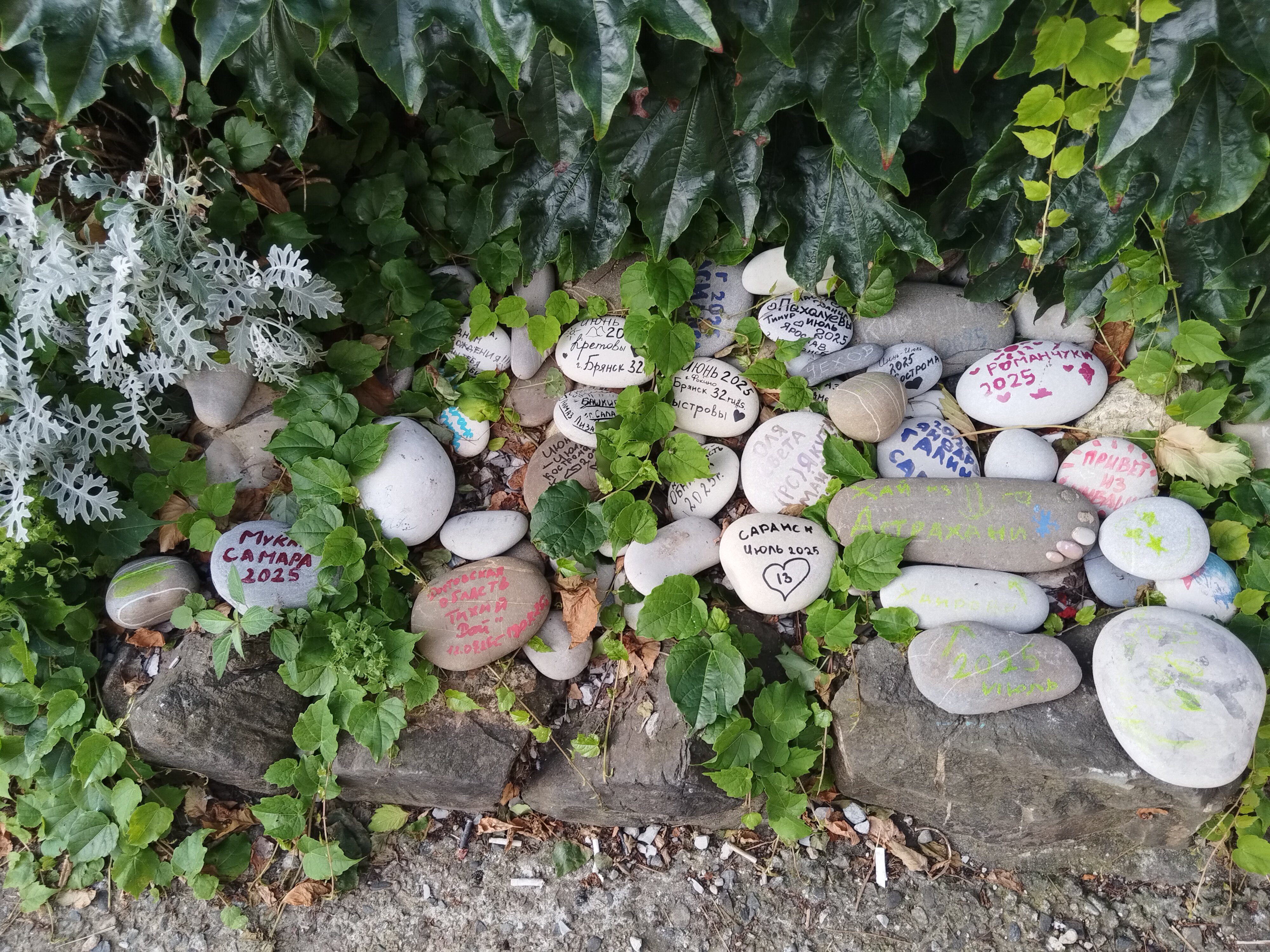 Фото Тихий рай