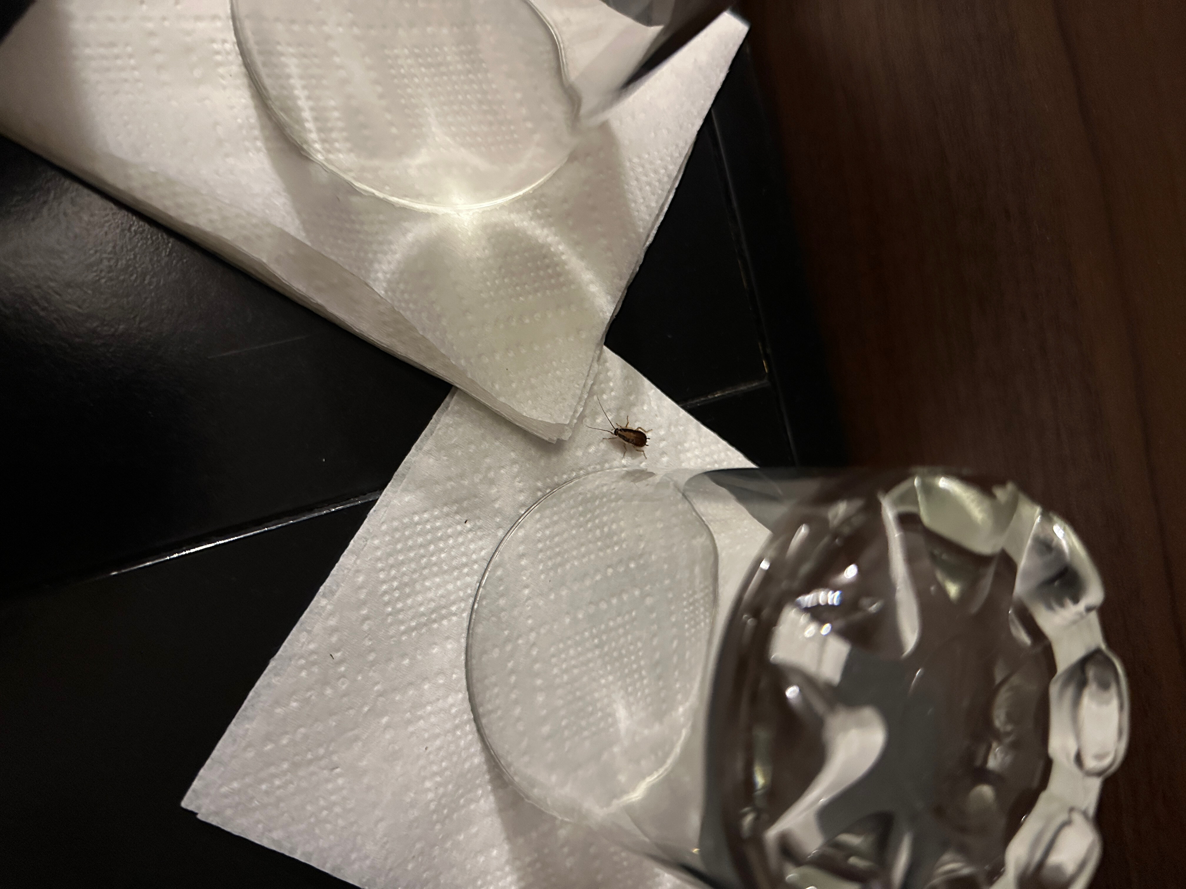 Фото Ростов Отель