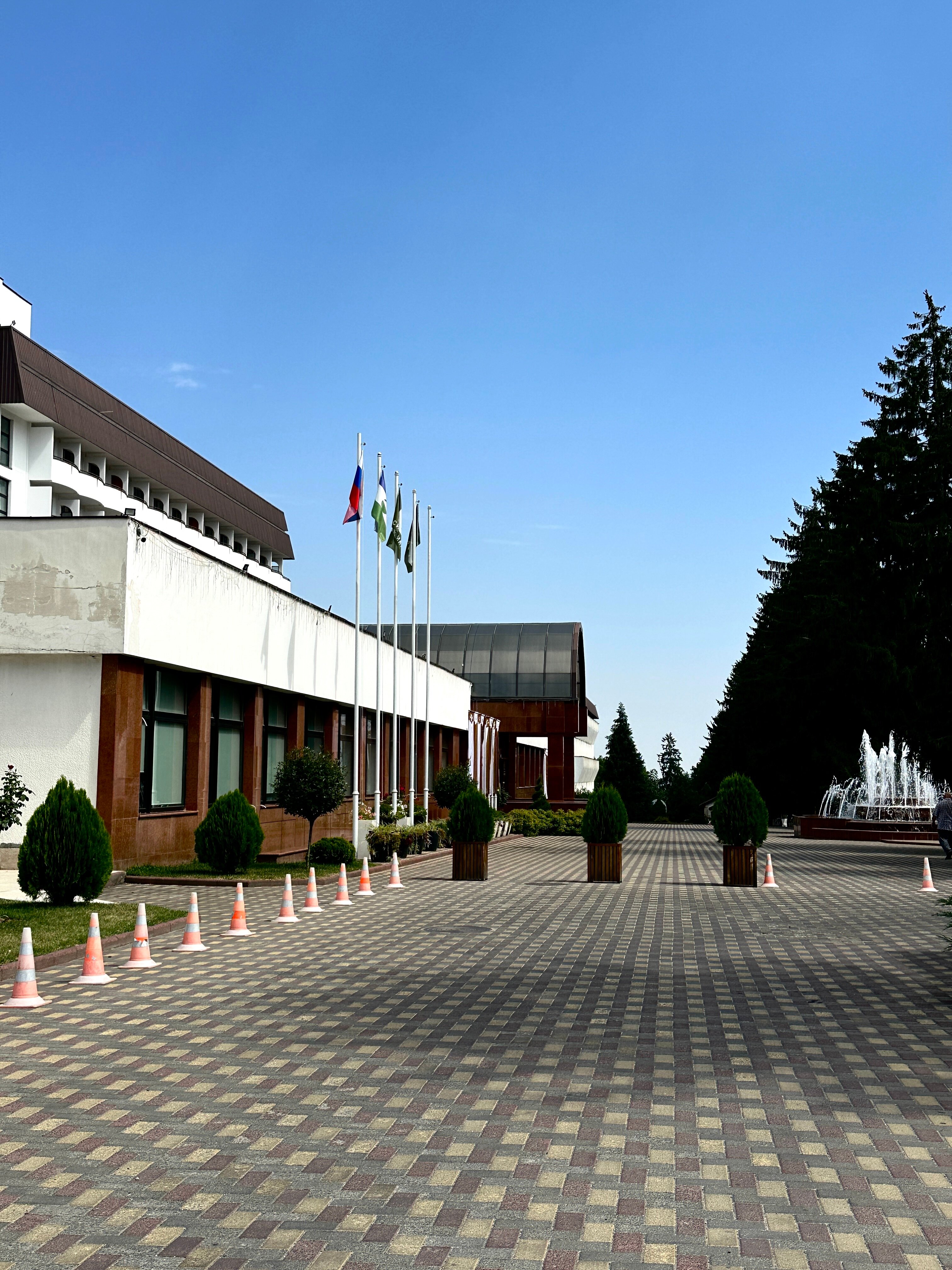 Фото Синдика