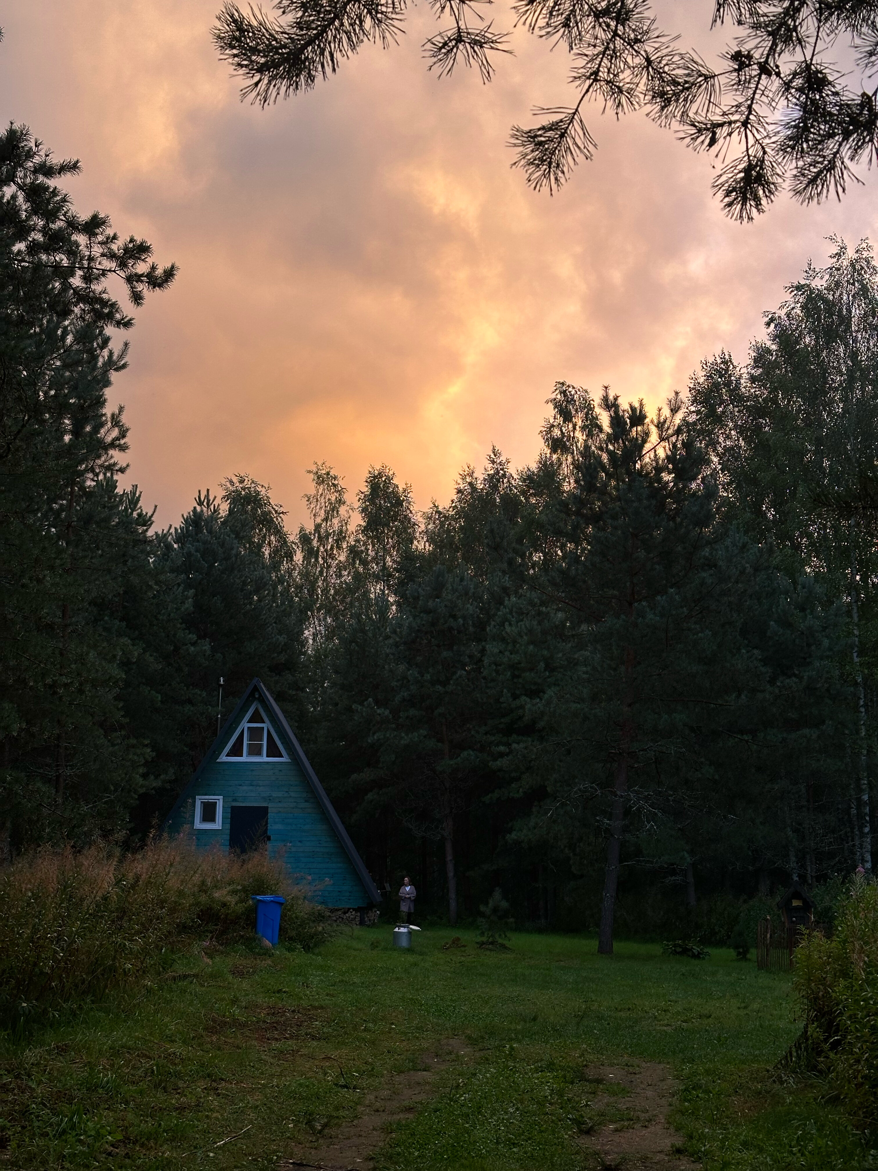 Фото НеДача