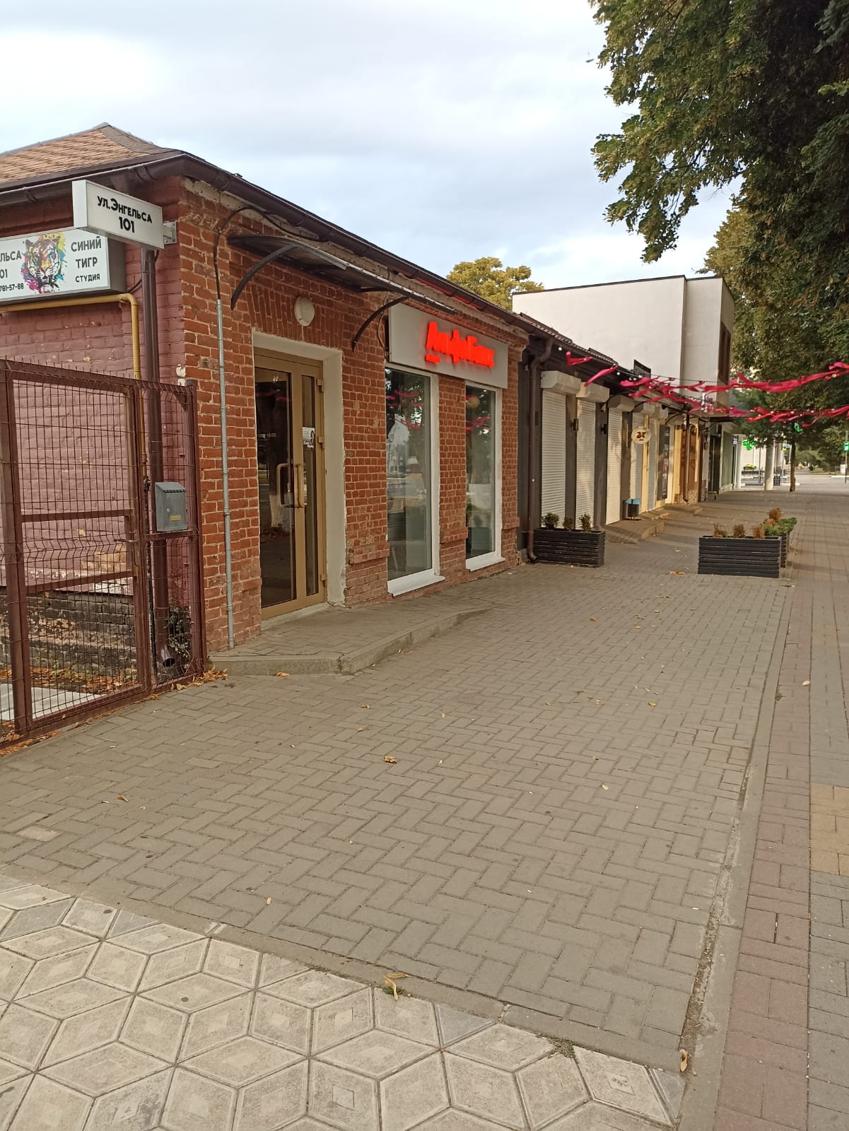 Фото Синий Тигр