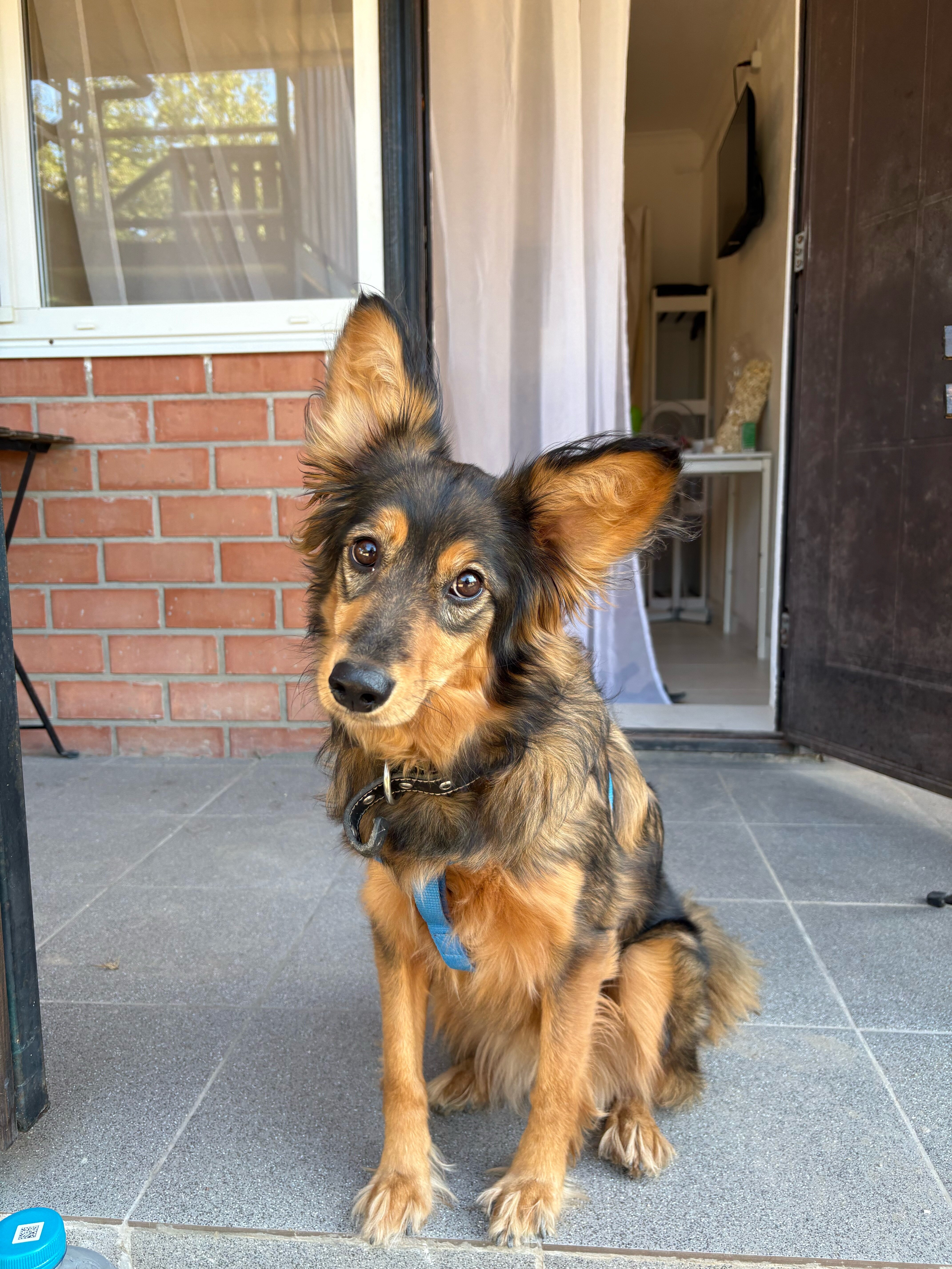 Фото Кондоминиум