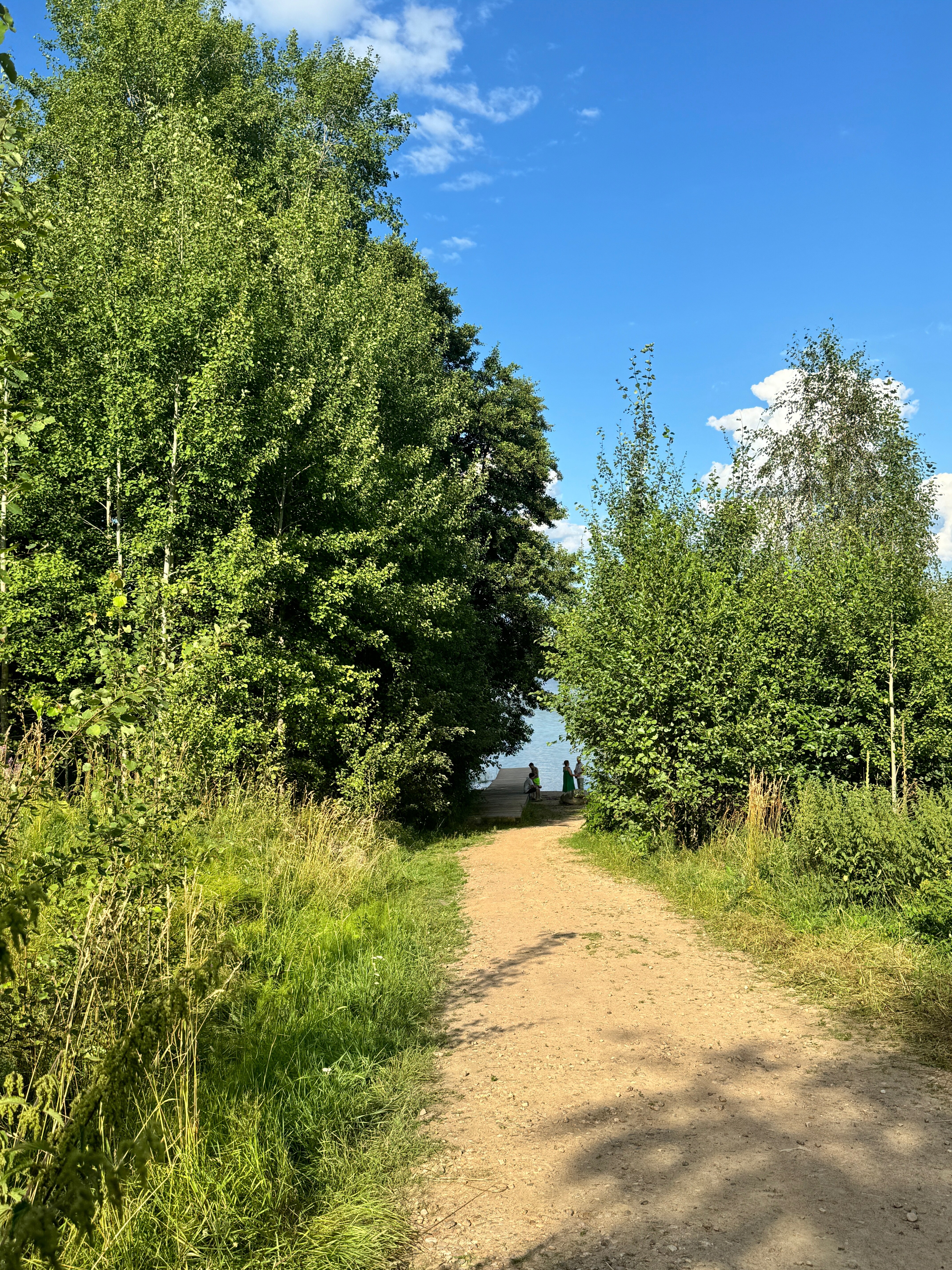 Фото Ёlki в Правдинское озеро