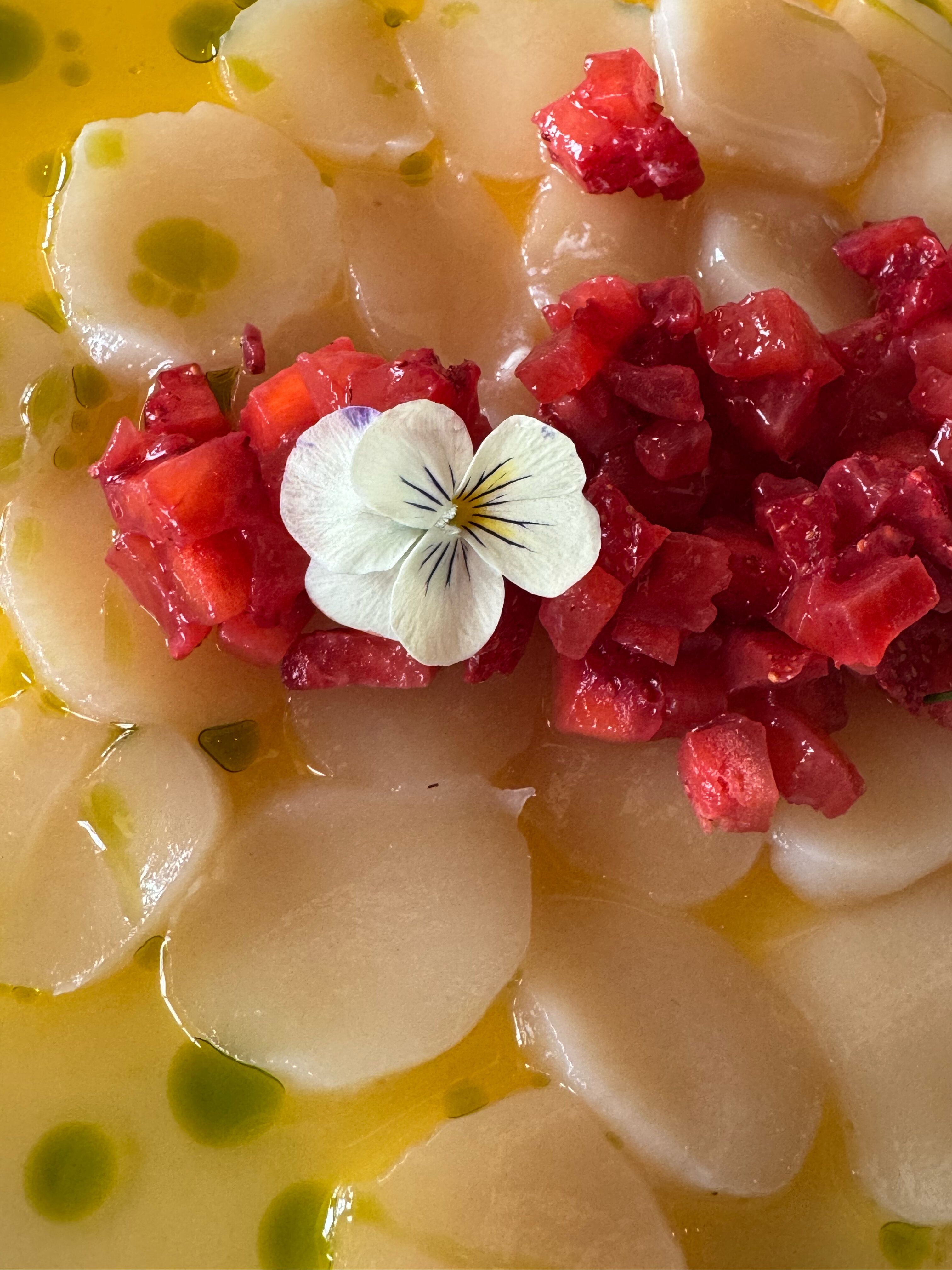 Фото Территория