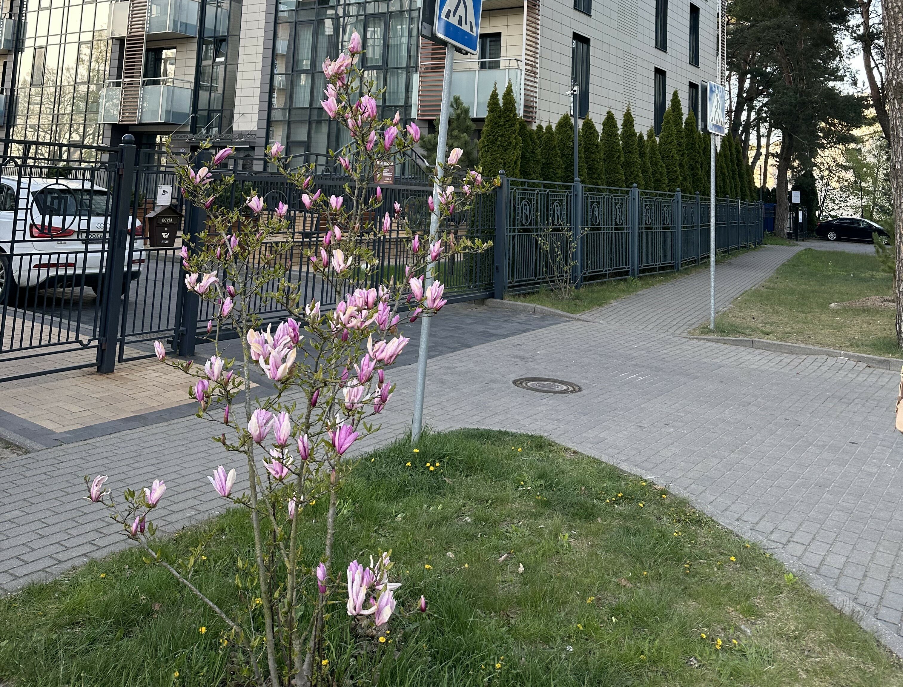 Фото Культура Быта