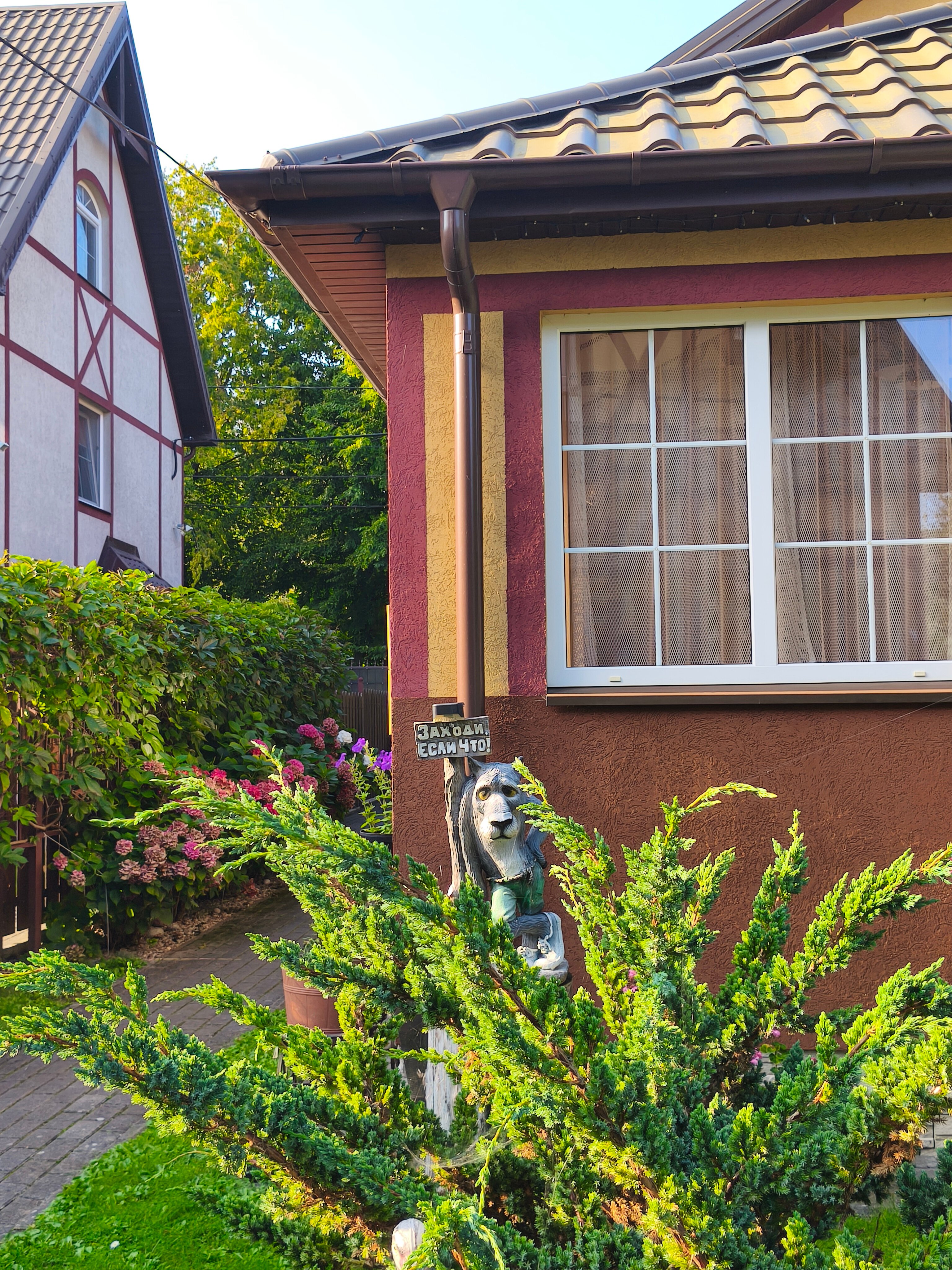 Фото Дикий берег