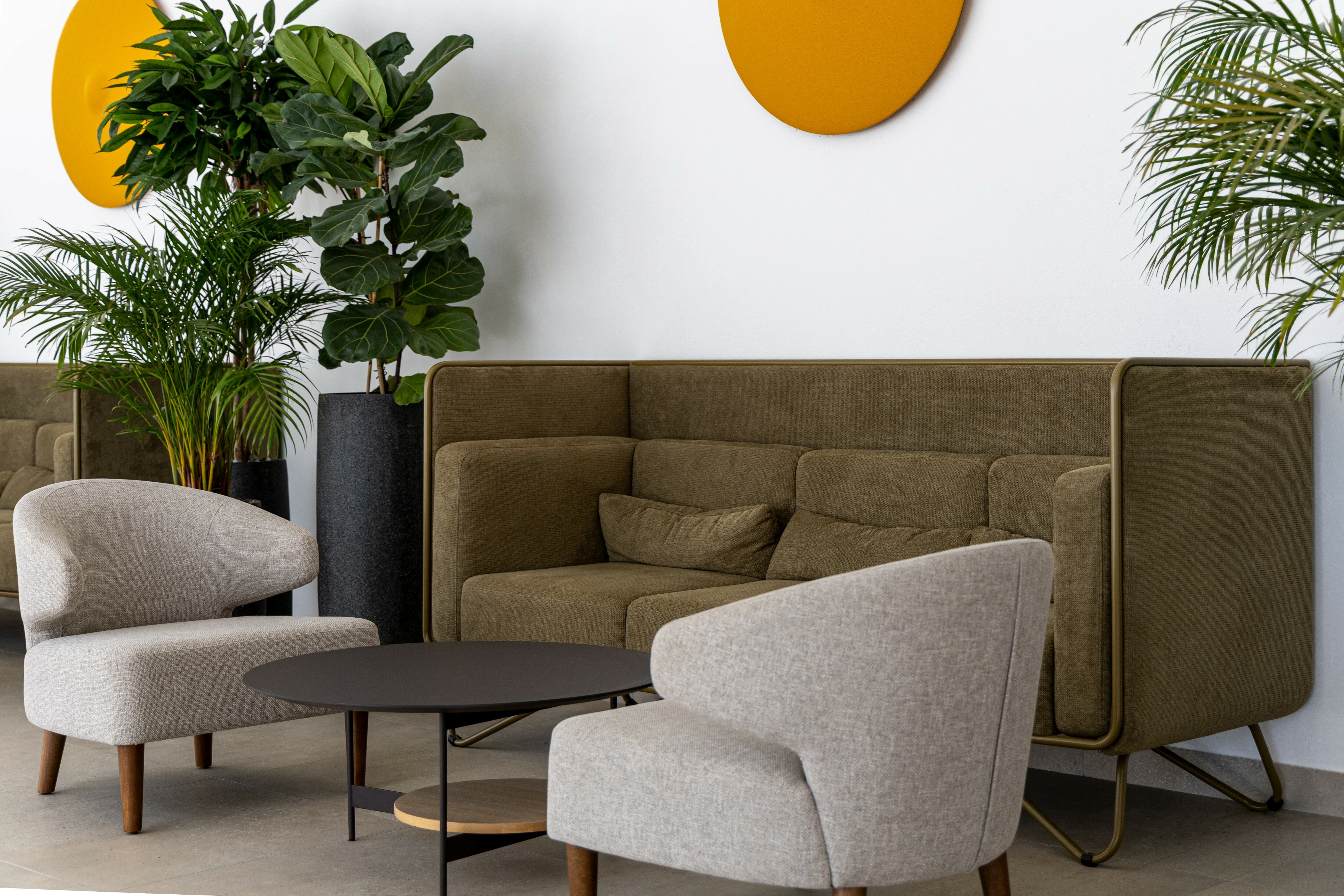 Фото Порторица