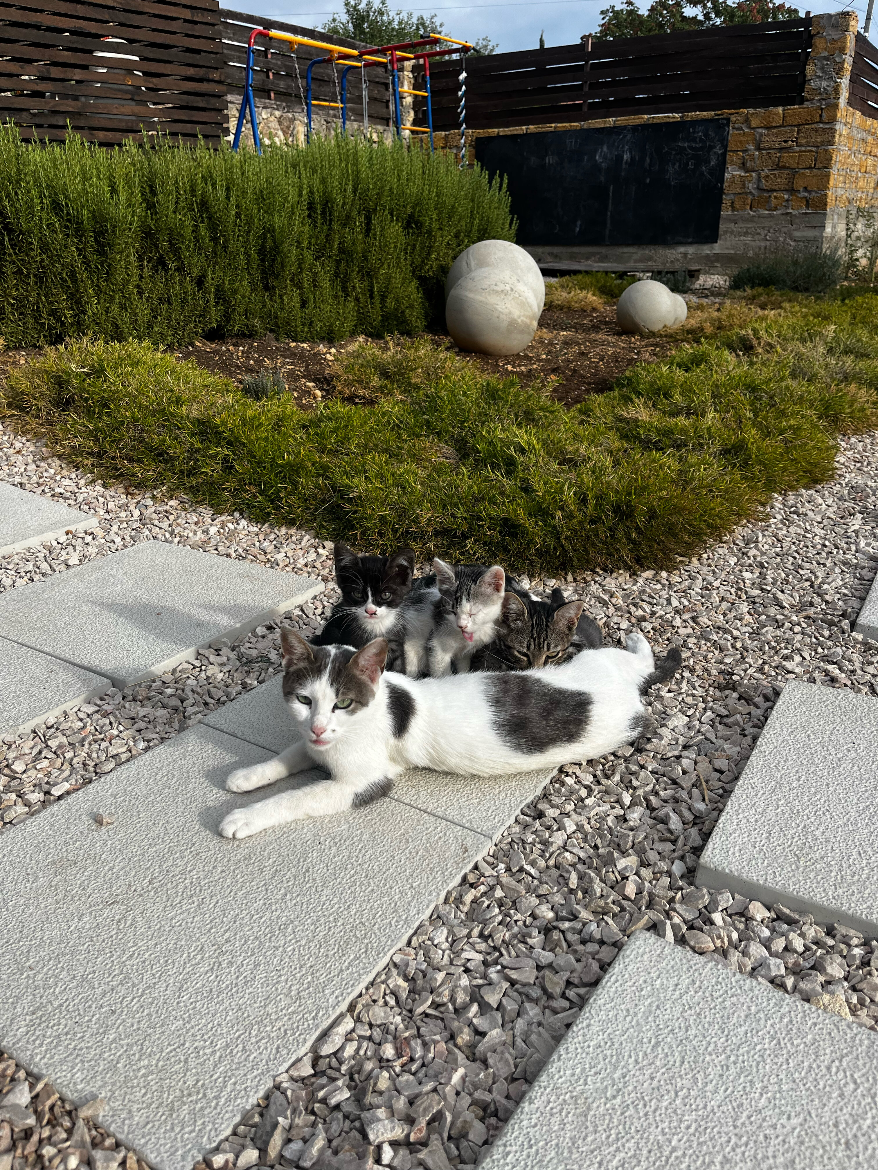 Фото Мыс Фиолент