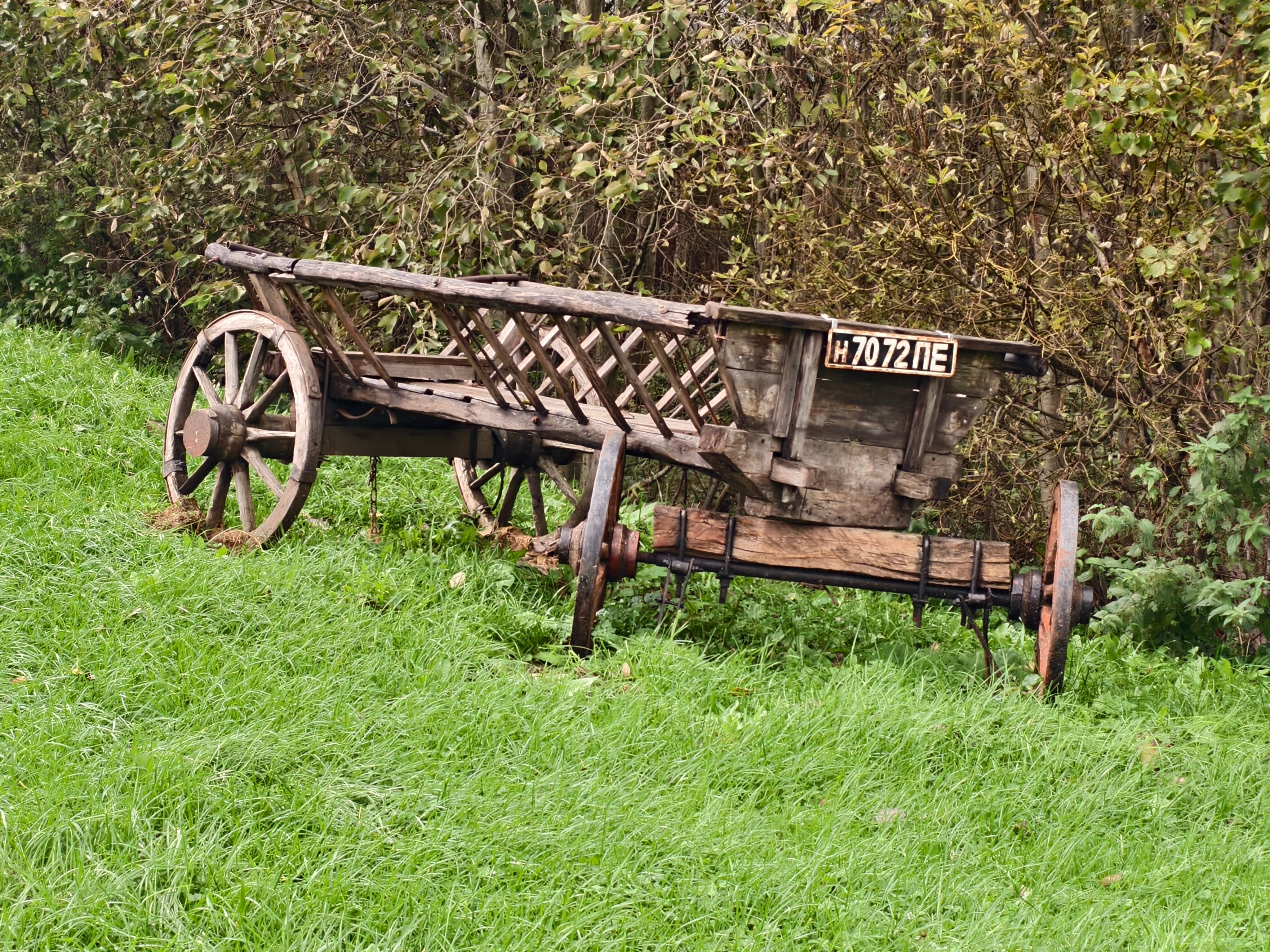 Фото Мишка на прудах