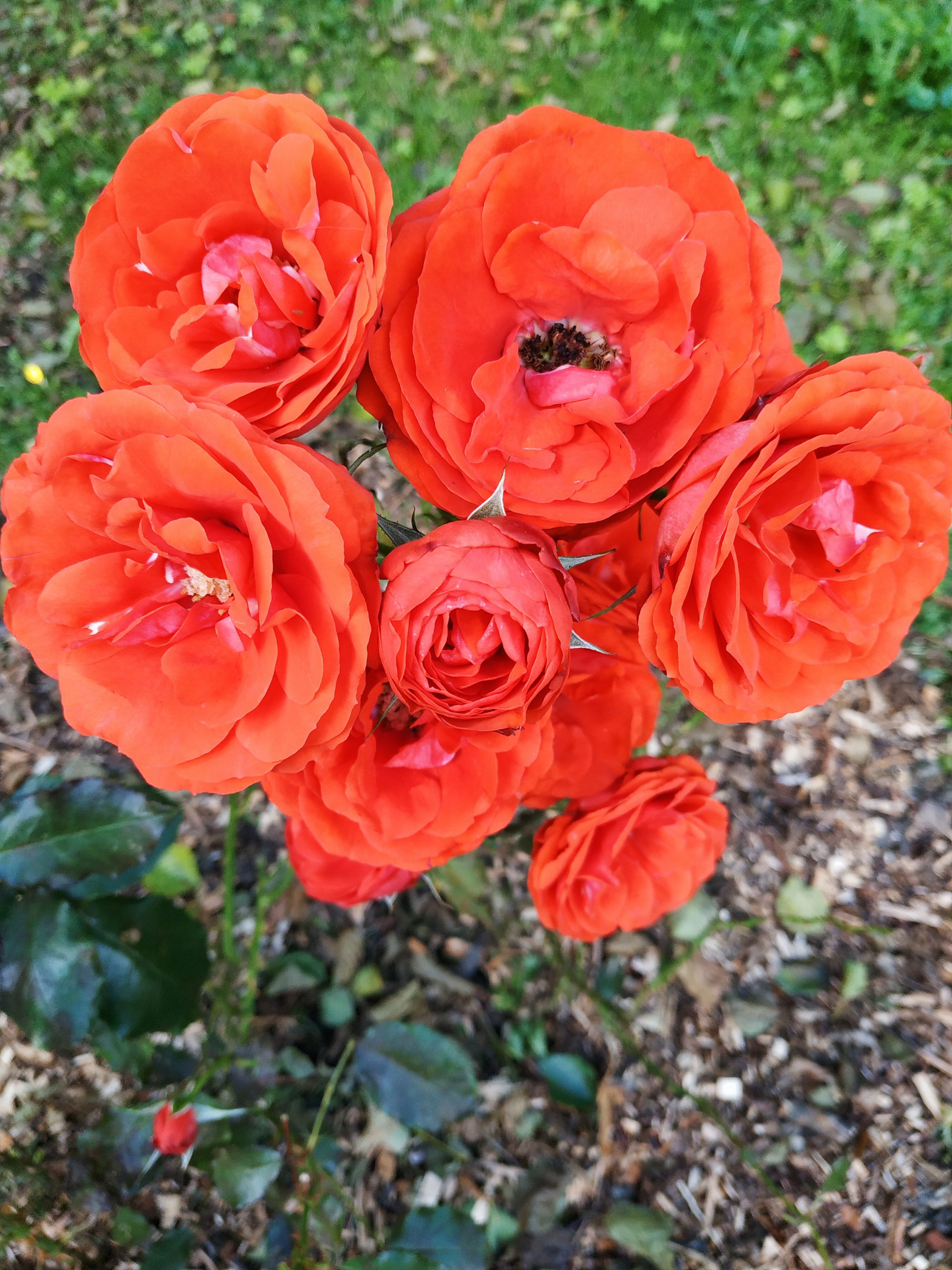 Фото 20 Меридиан