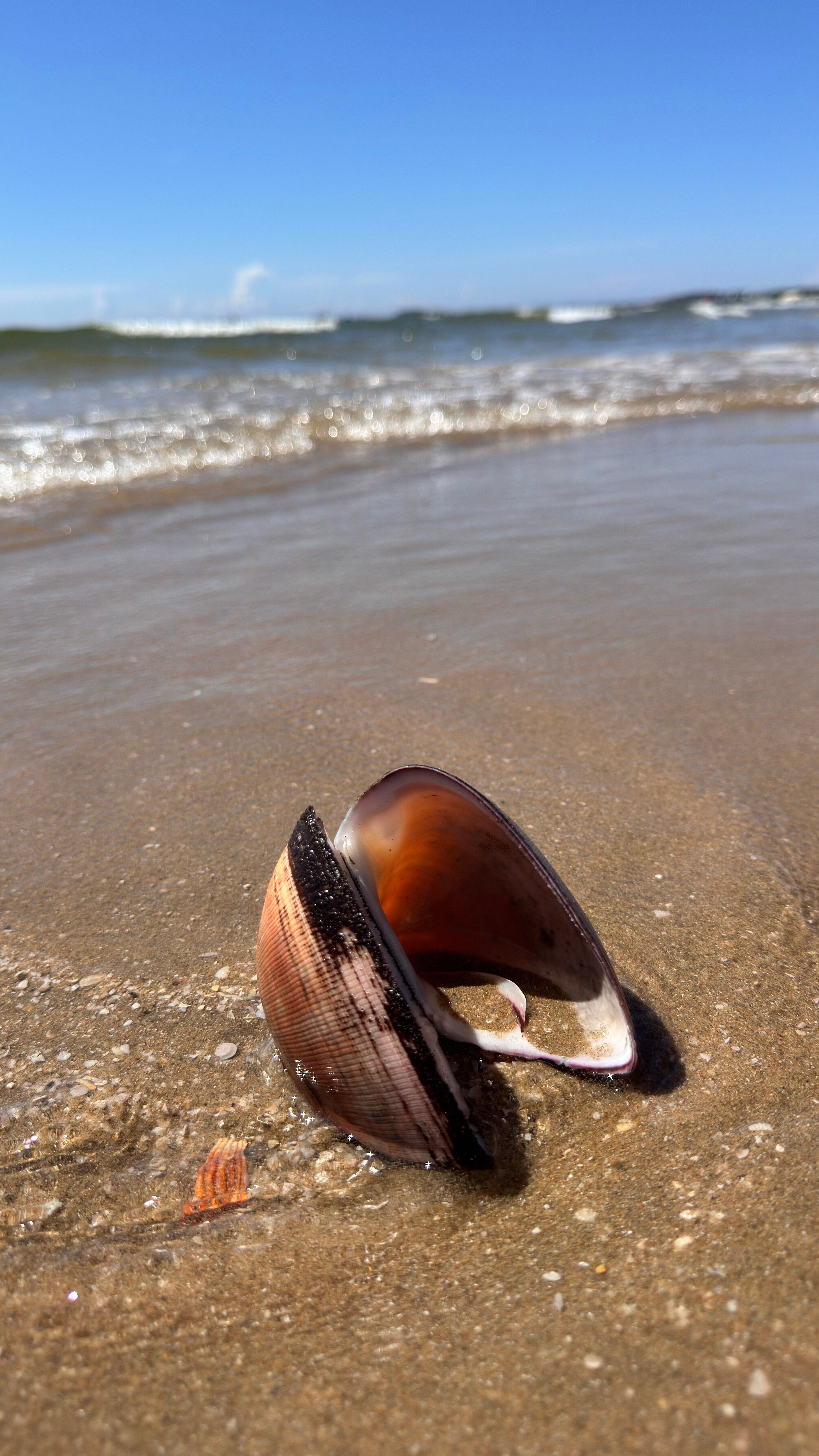 Фото Asteria Mui Ne Resort