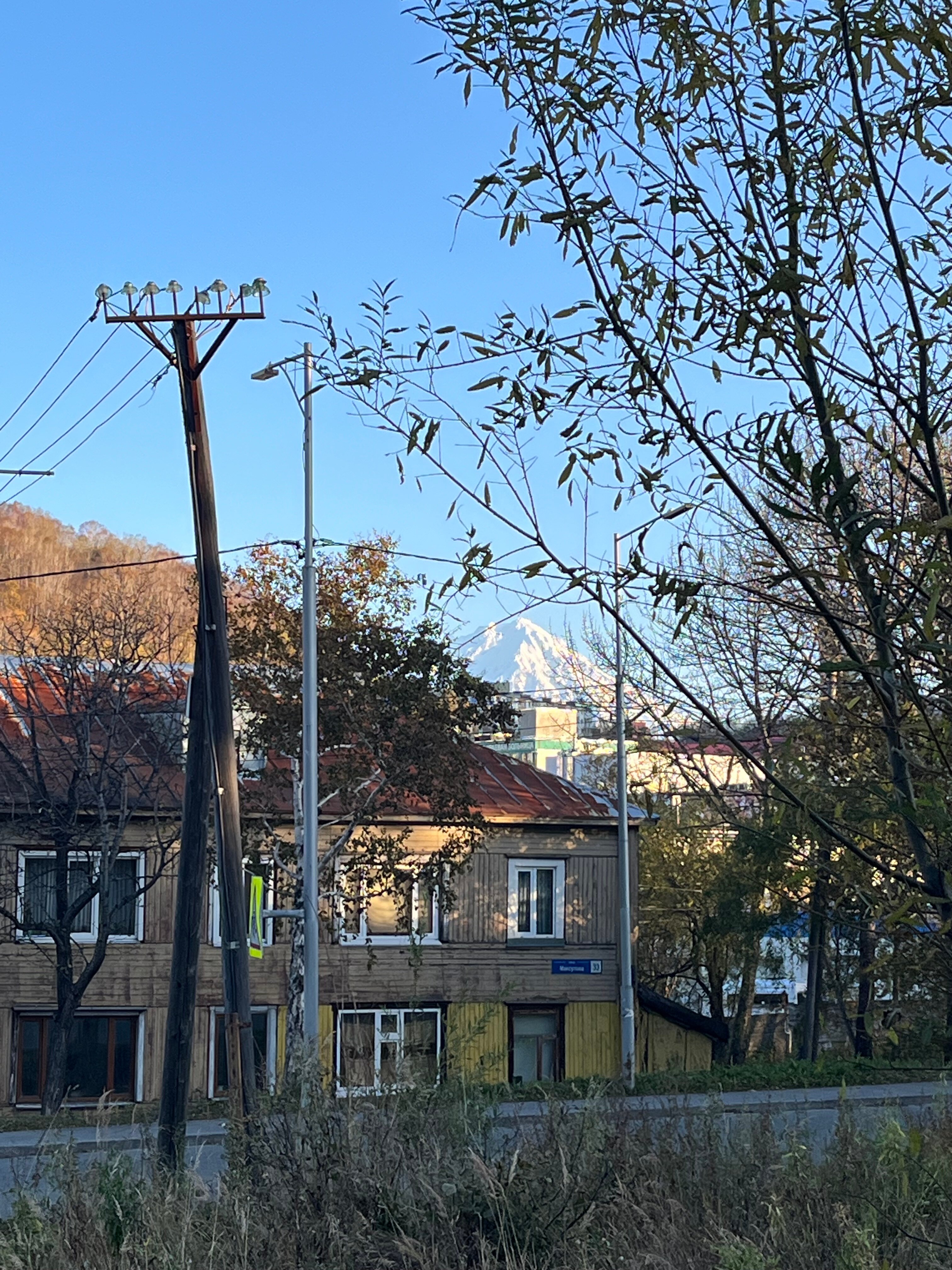 Фото Амазонка