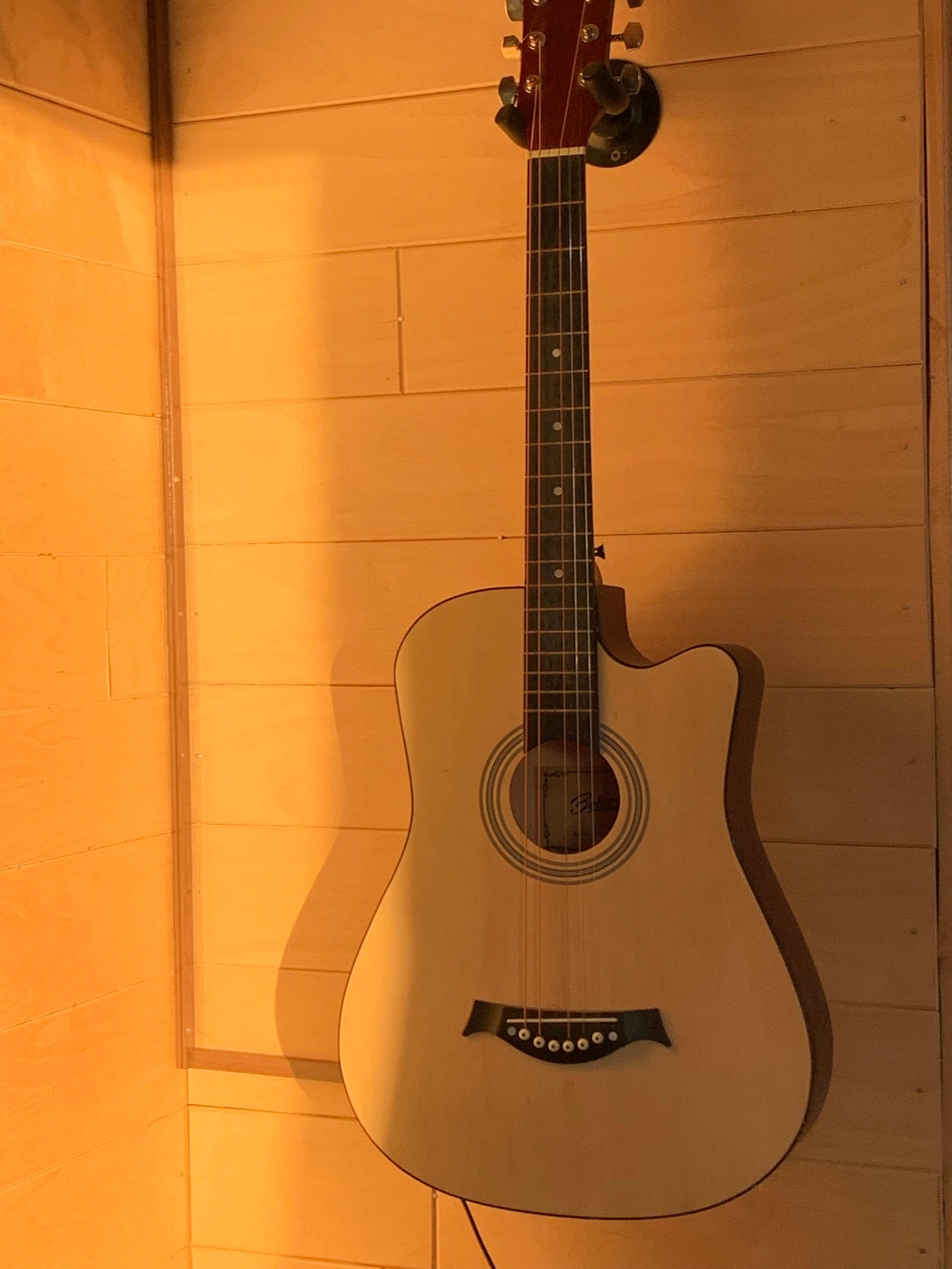 Фото Дикая Земля