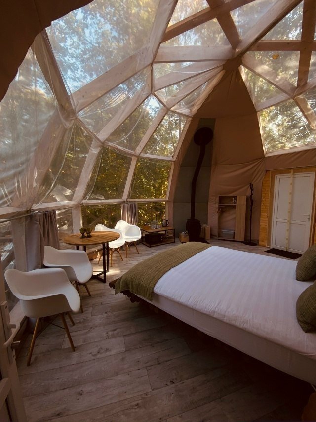 Фото Клевер