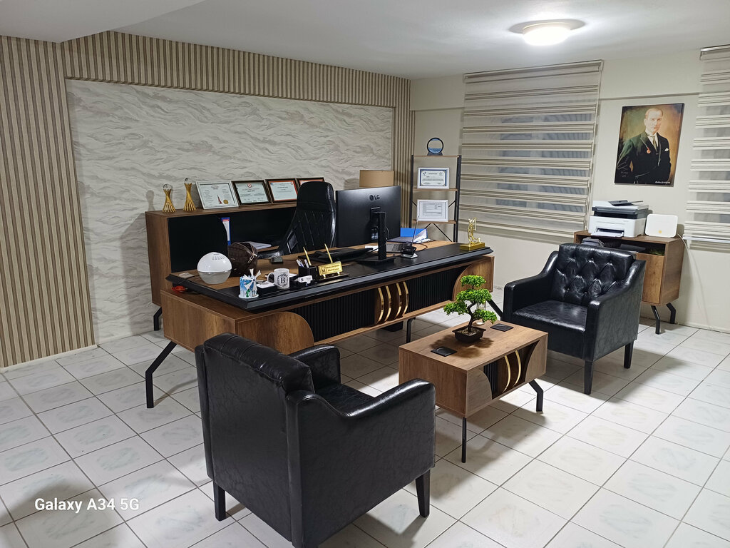 Tax consultants Buse Caliskan Freelance Accountant Financial Advisor, Akhisar, photo