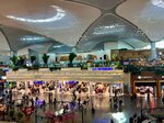 Istanbul Airport (Istanbul, Arnavutkoy, Tayakadin Neighborhood, Terminal Avenue, 1), airport
