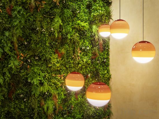 Фото 126054475893