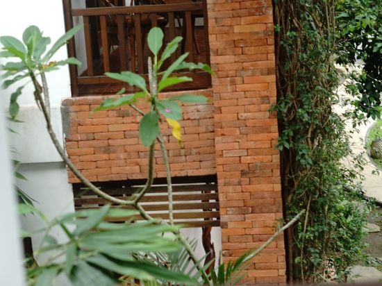 Фото Green Bird Villa