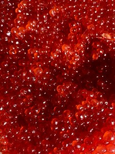 Дом в аренду АмКам